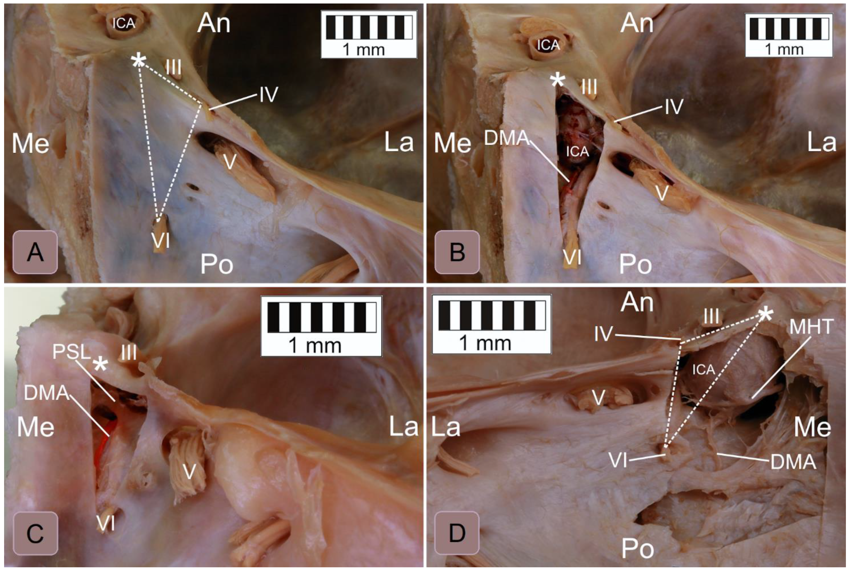 Brainsci 11 00596 g004