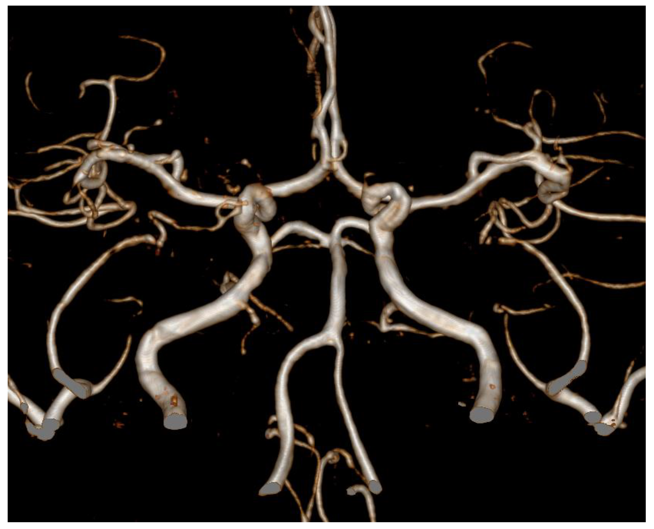 Brainsci 11 00601 g002