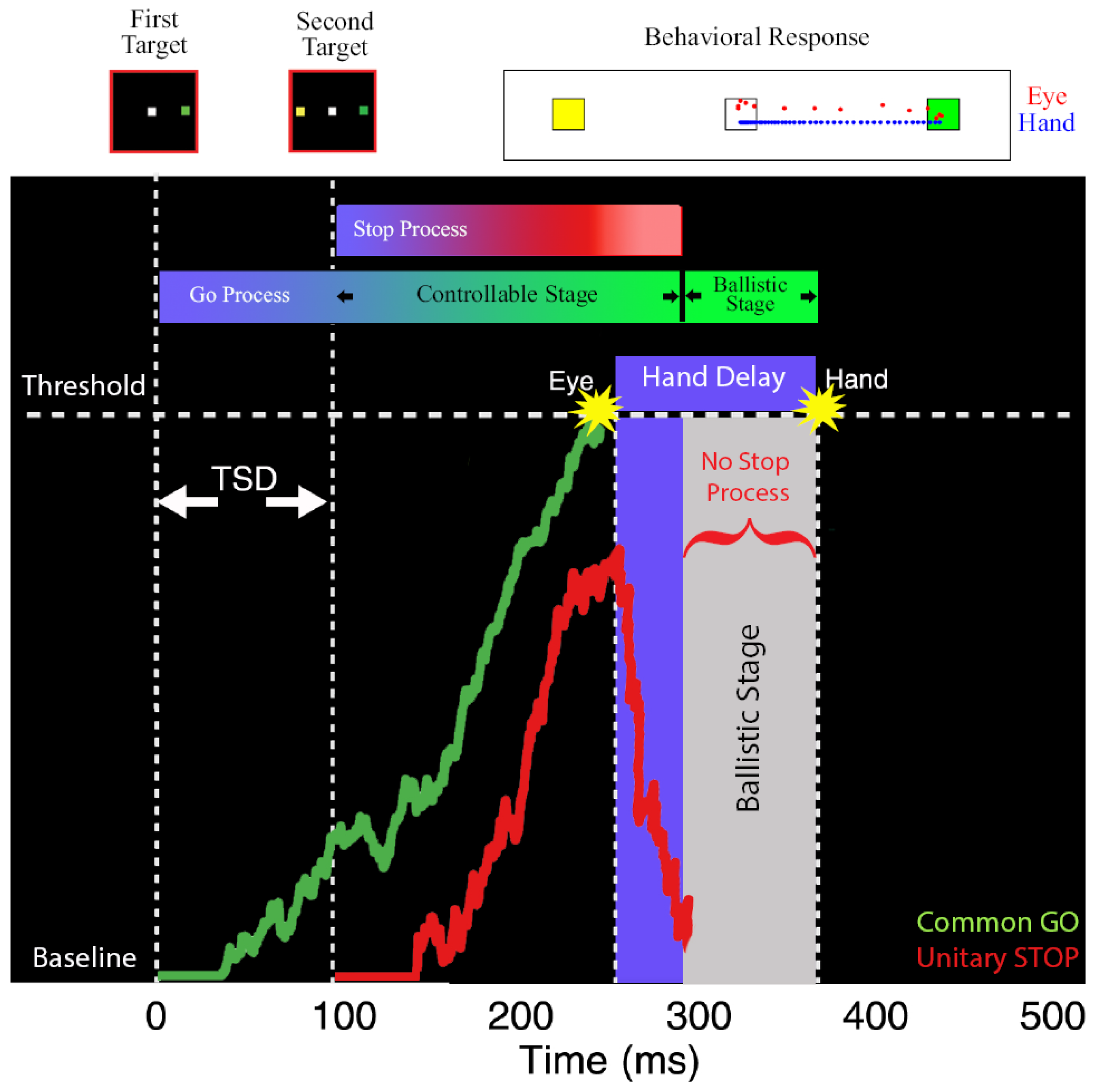 Brainsci 11 00607 g003