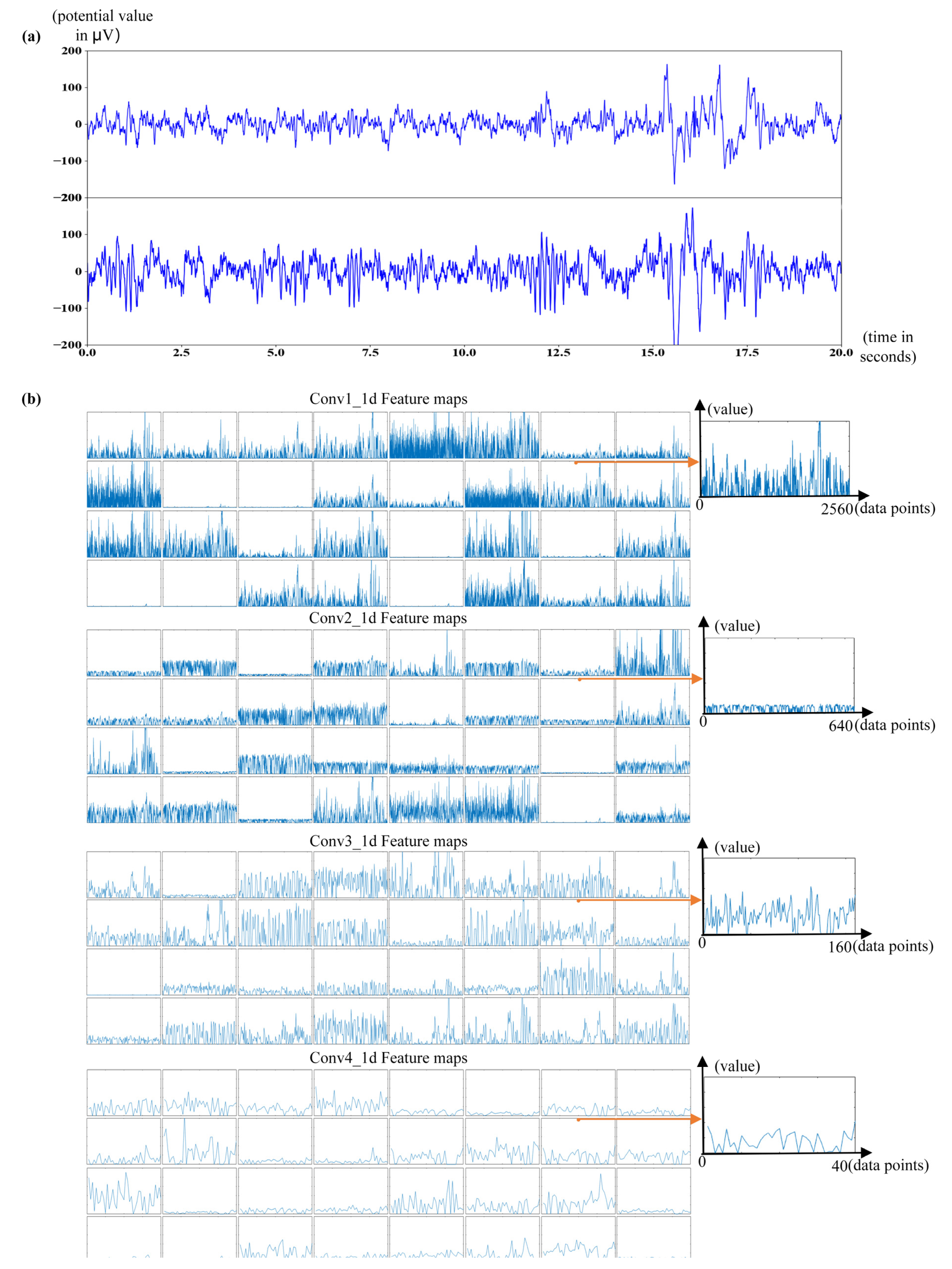 Brainsci 11 00615 g006