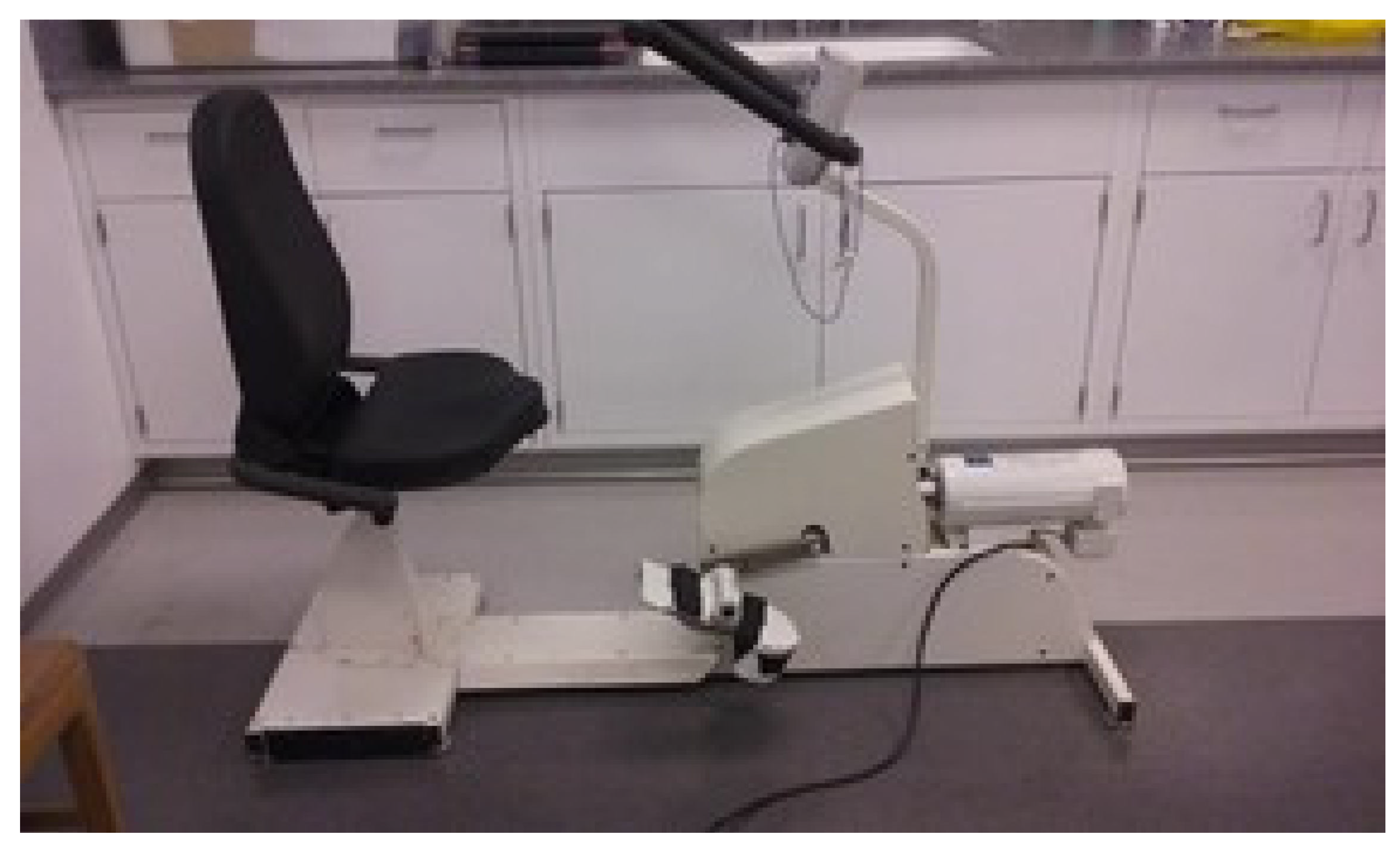 Brainsci 11 00620 g001