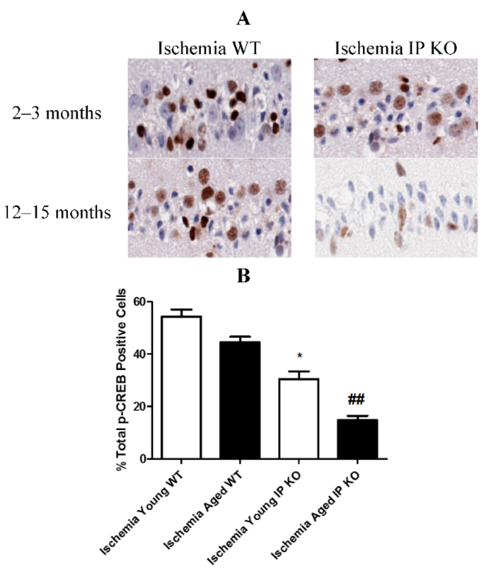 Brainsci 11 00624 g001