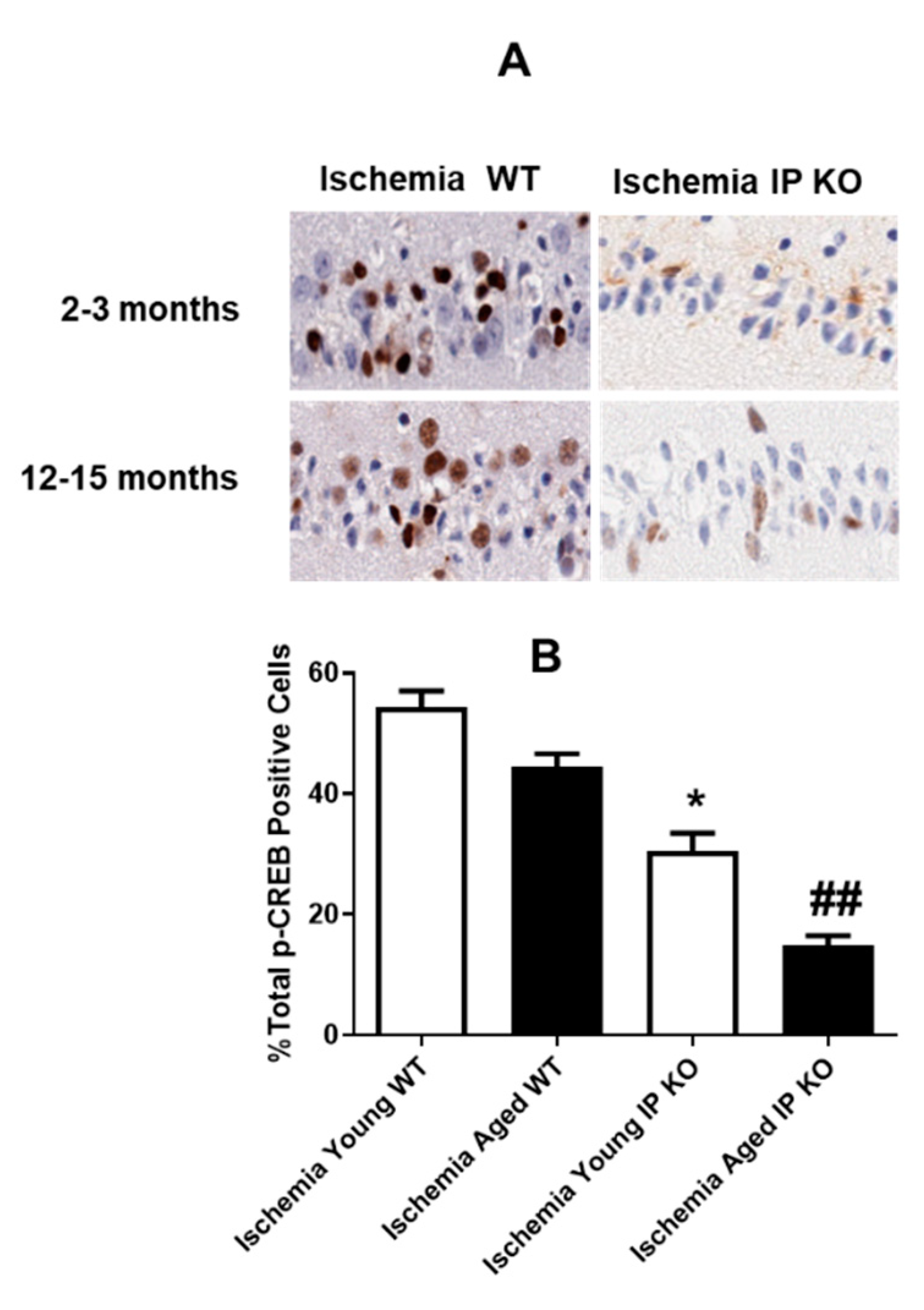 Brainsci 11 00624 g002