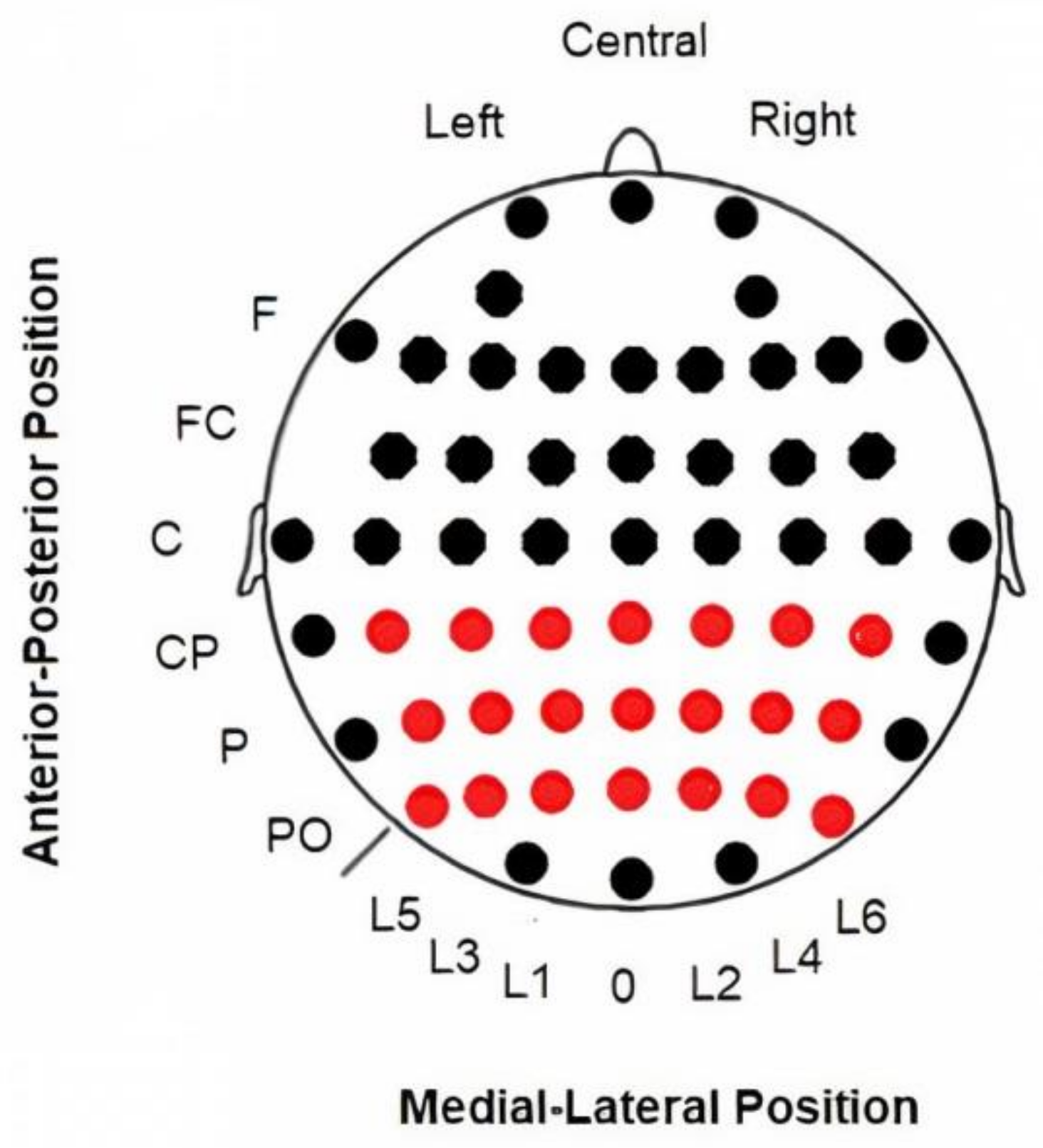 Brainsci 11 00629 g001