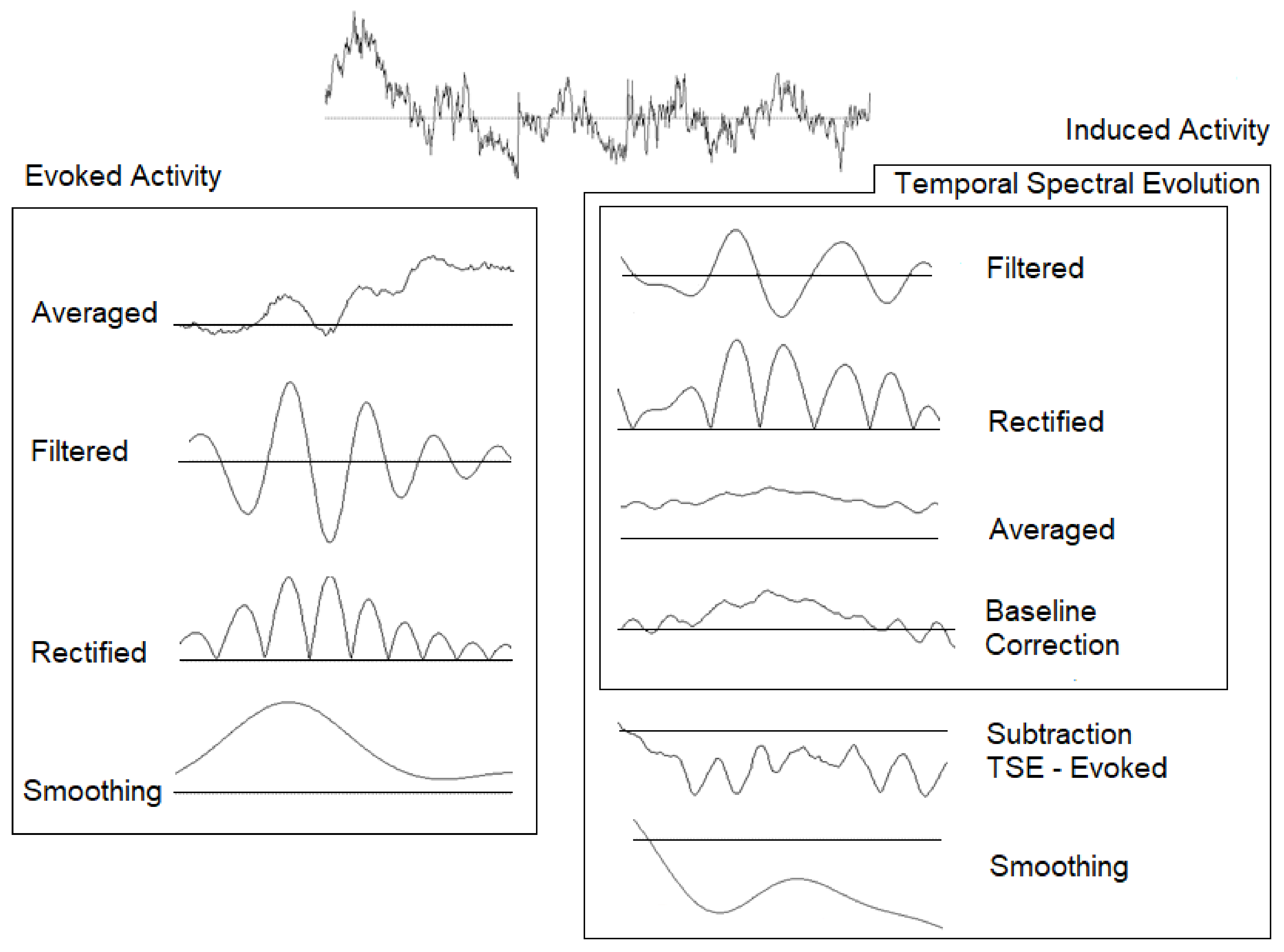 Brainsci 11 00629 g002