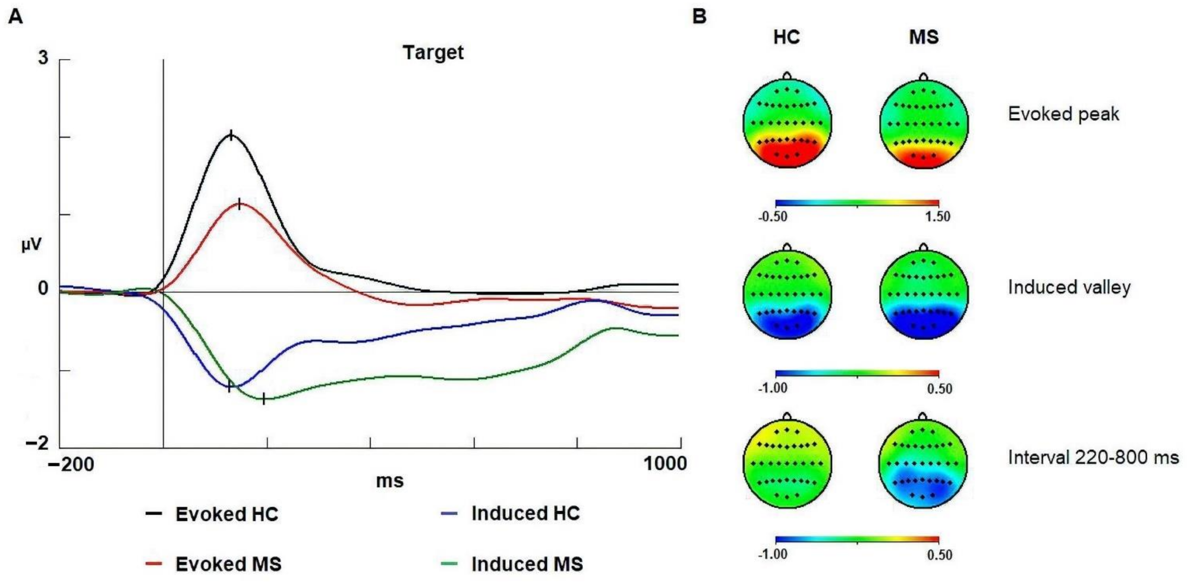 Brainsci 11 00629 g003