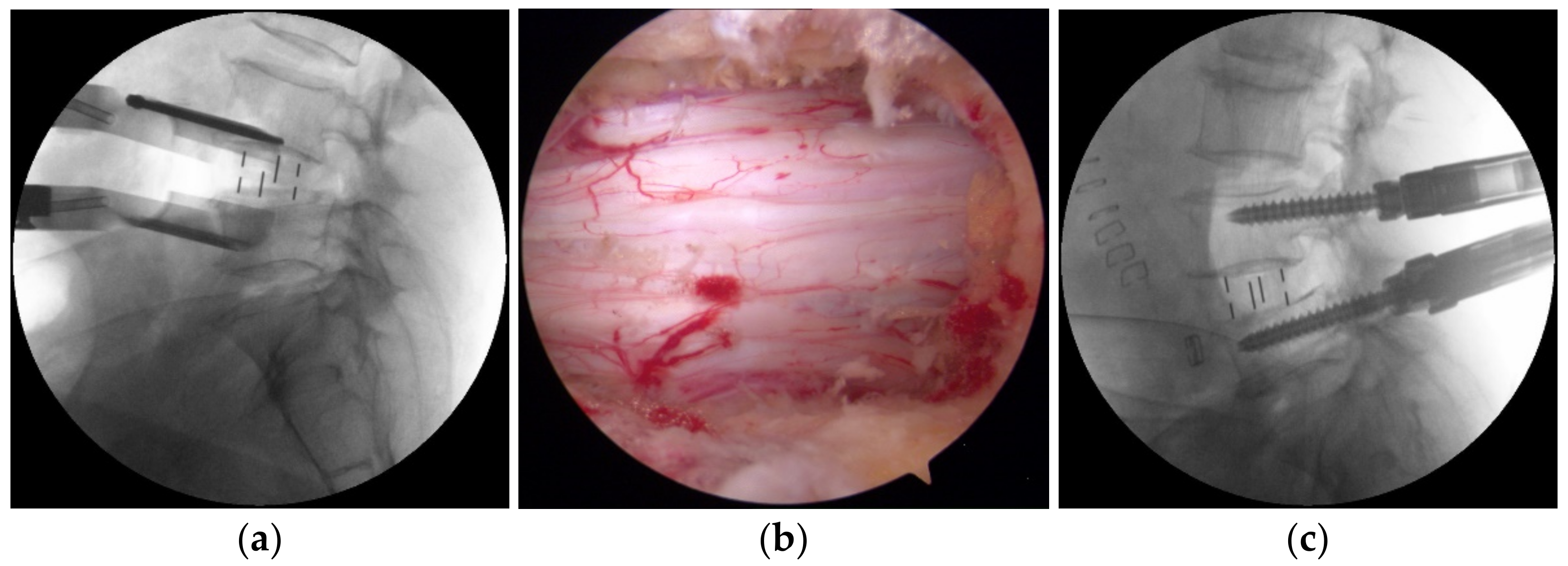 Brainsci 11 00630 g002