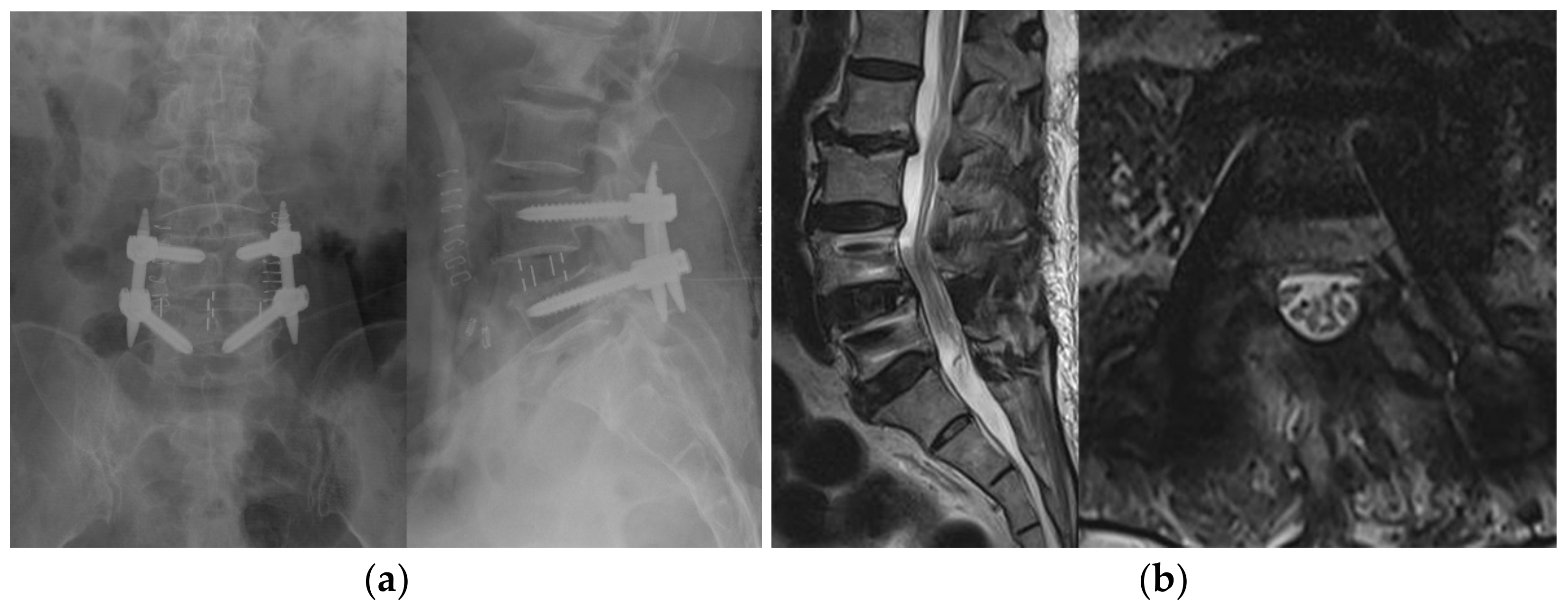 Brainsci 11 00630 g003