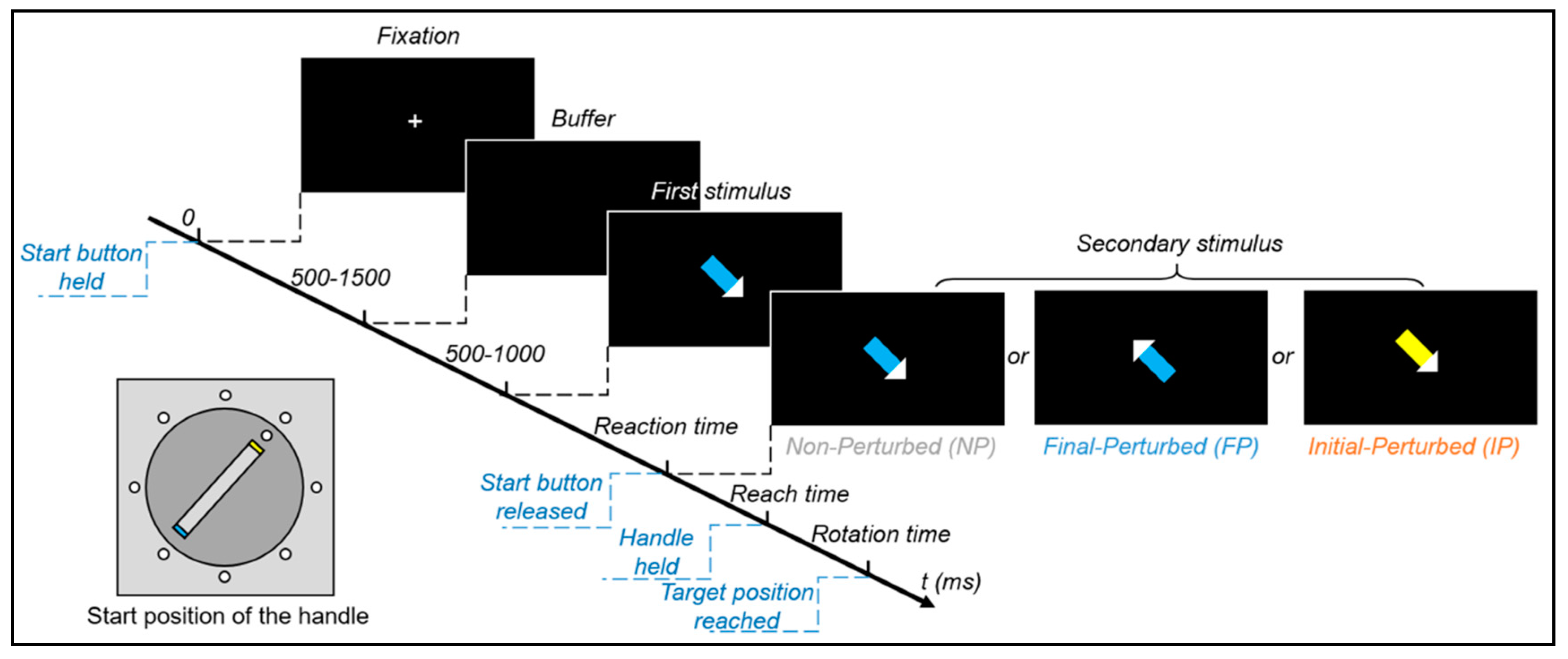Brainsci 11 00641 g002 Brainsci 11 00641 g002