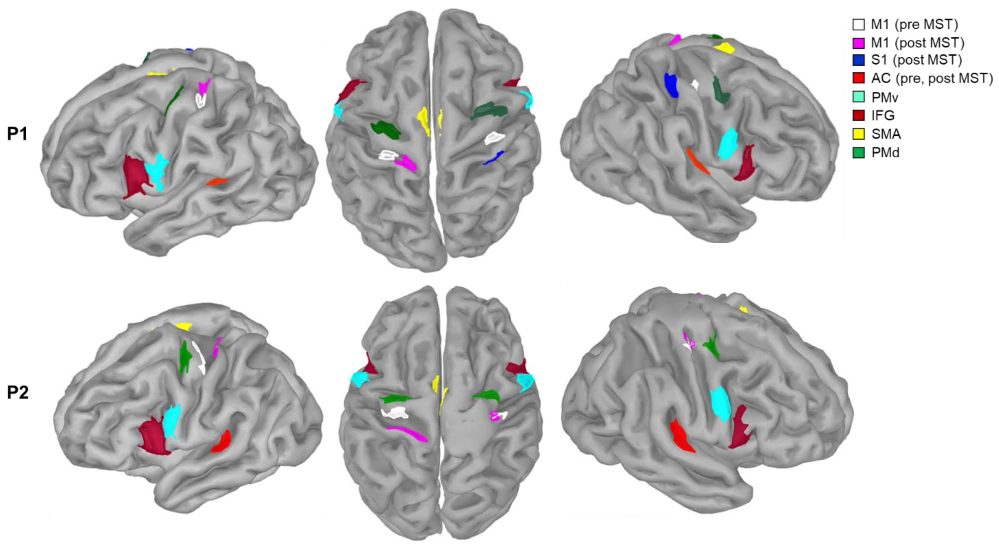 Brainsci 11 00666 g002