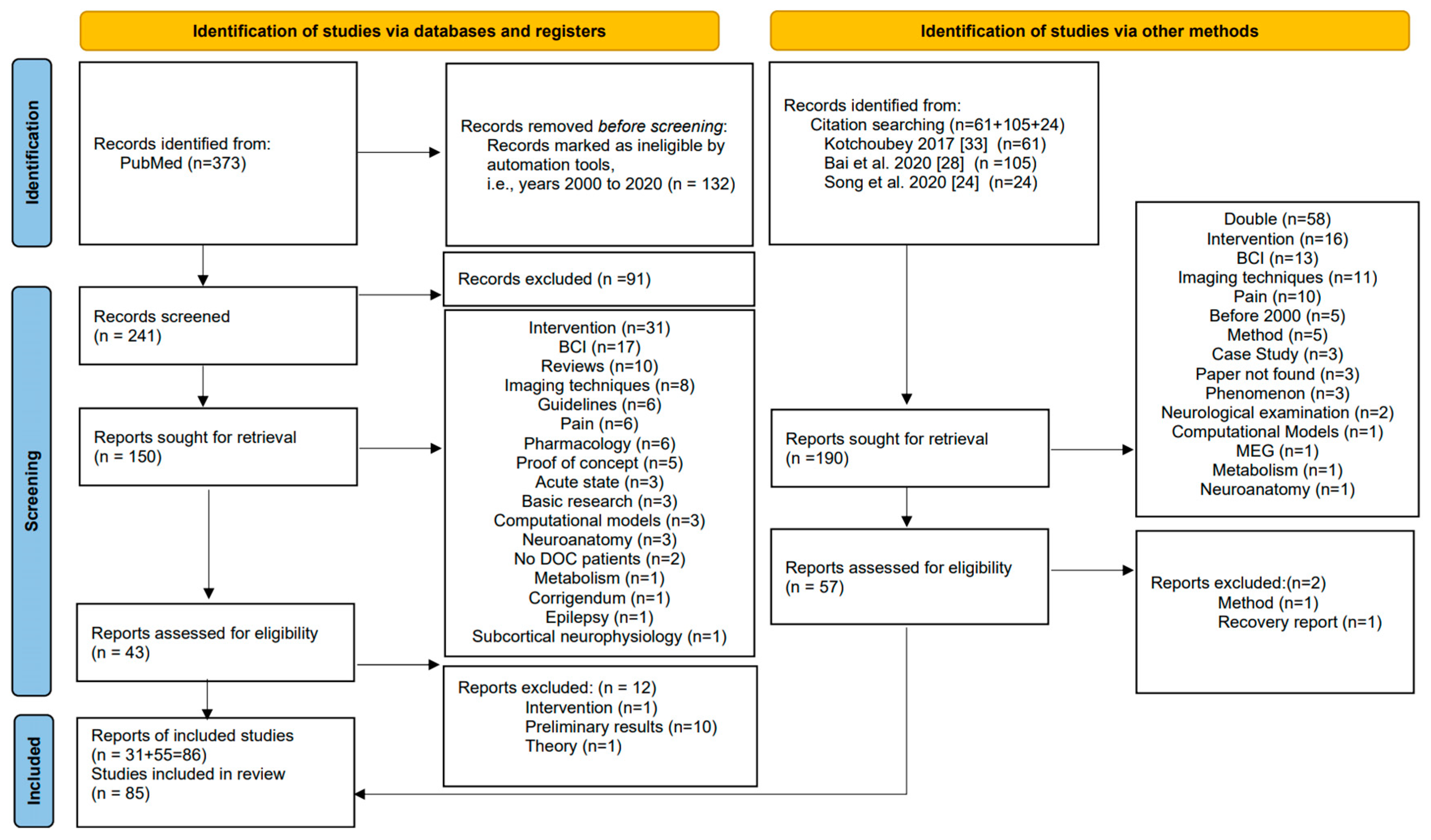 Brainsci 11 00697 g001