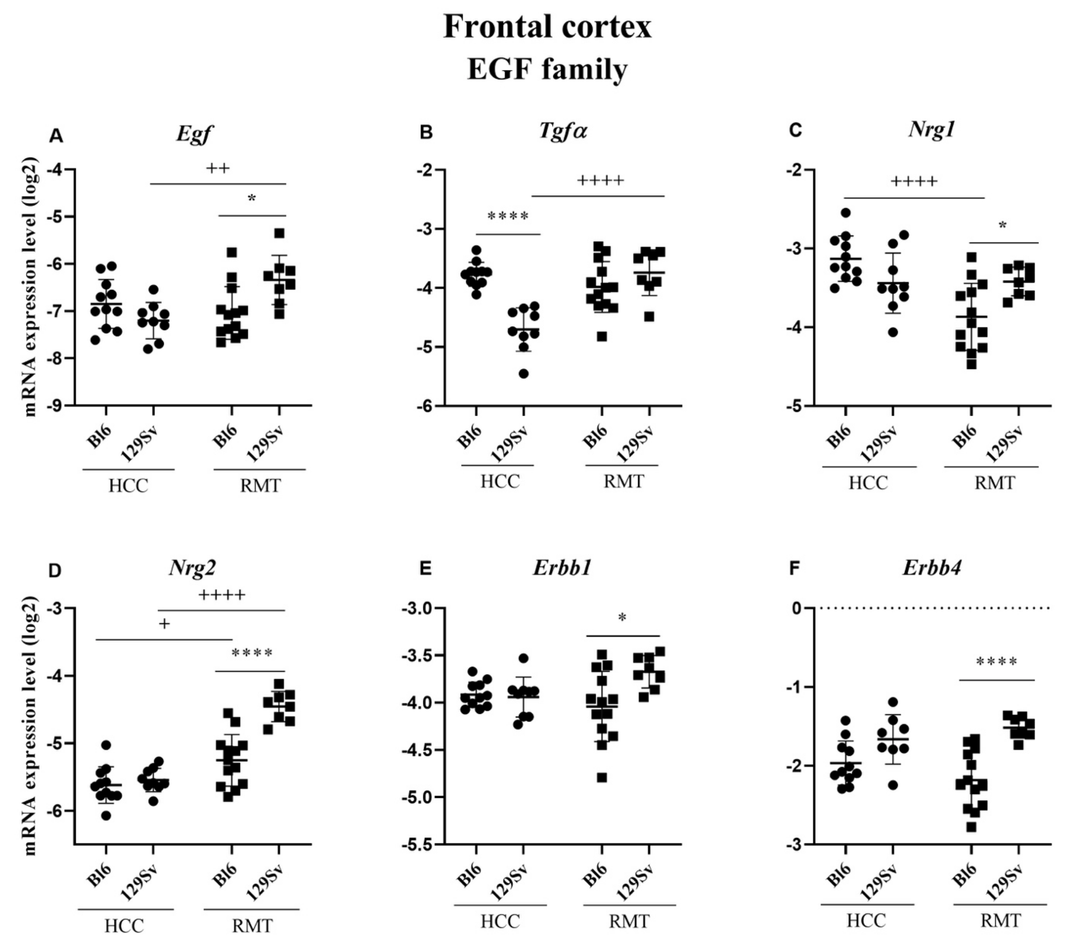 Brainsci 11 00725 g010