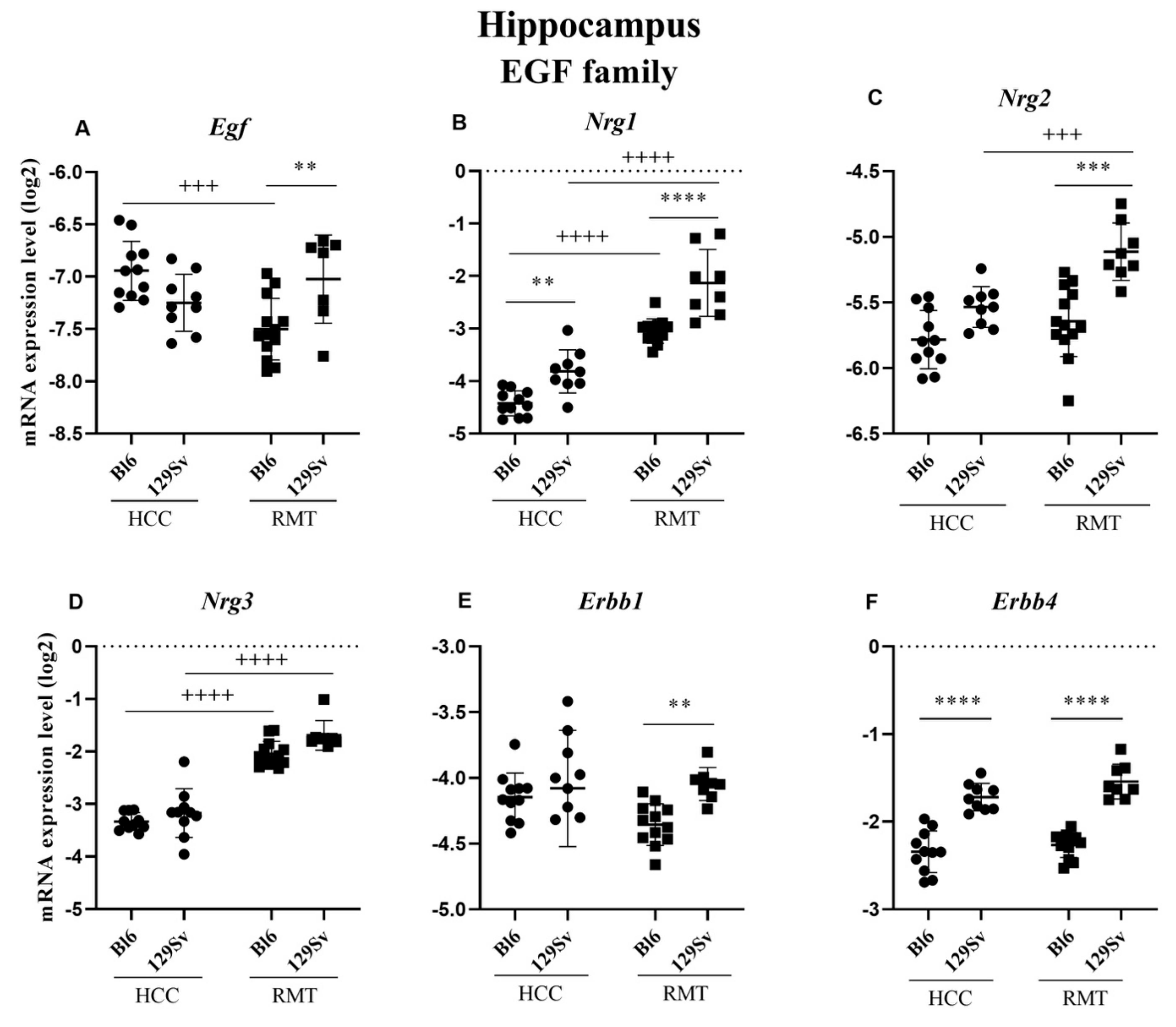 Brainsci 11 00725 g011