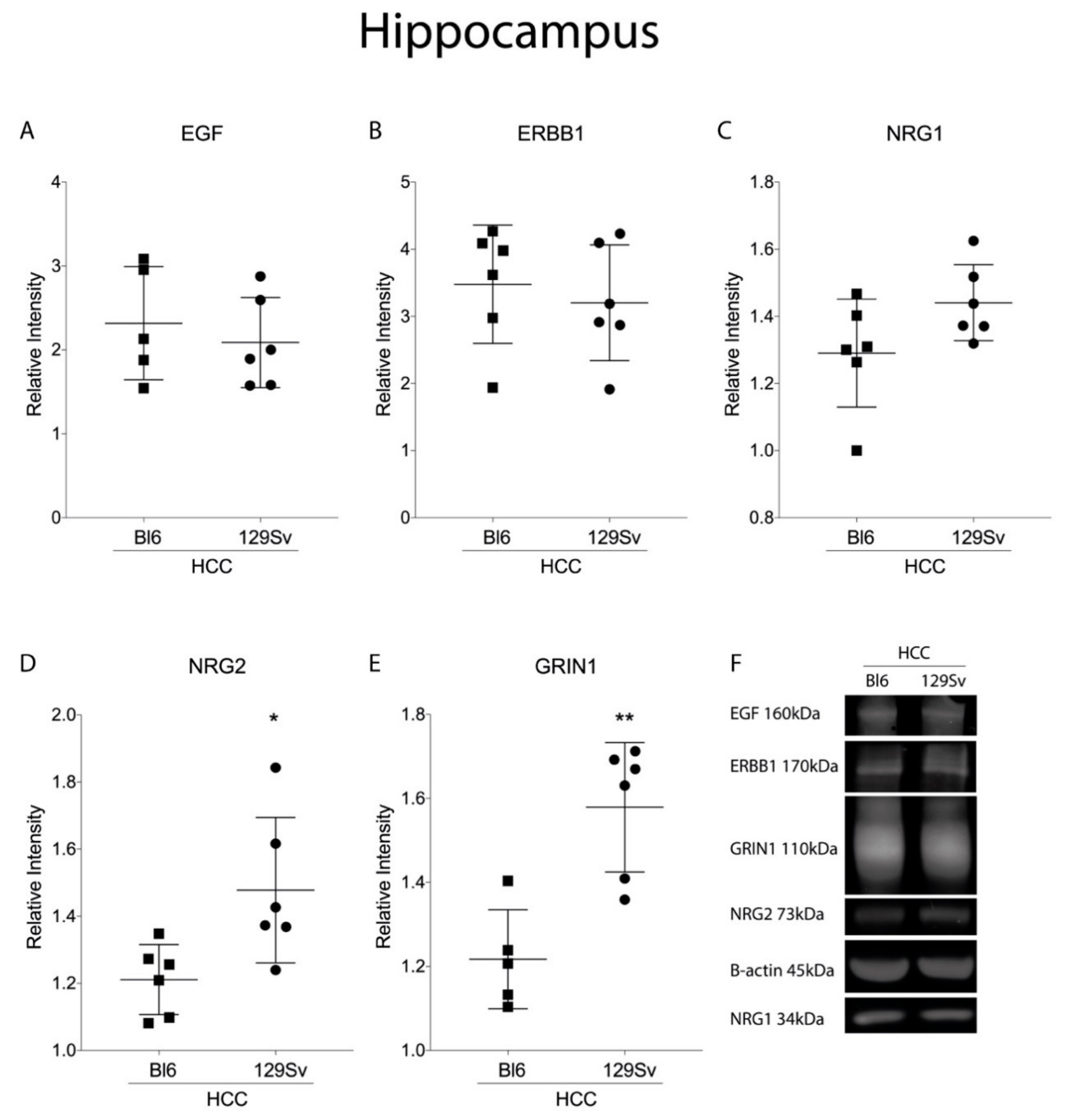 Brainsci 11 00725 g014