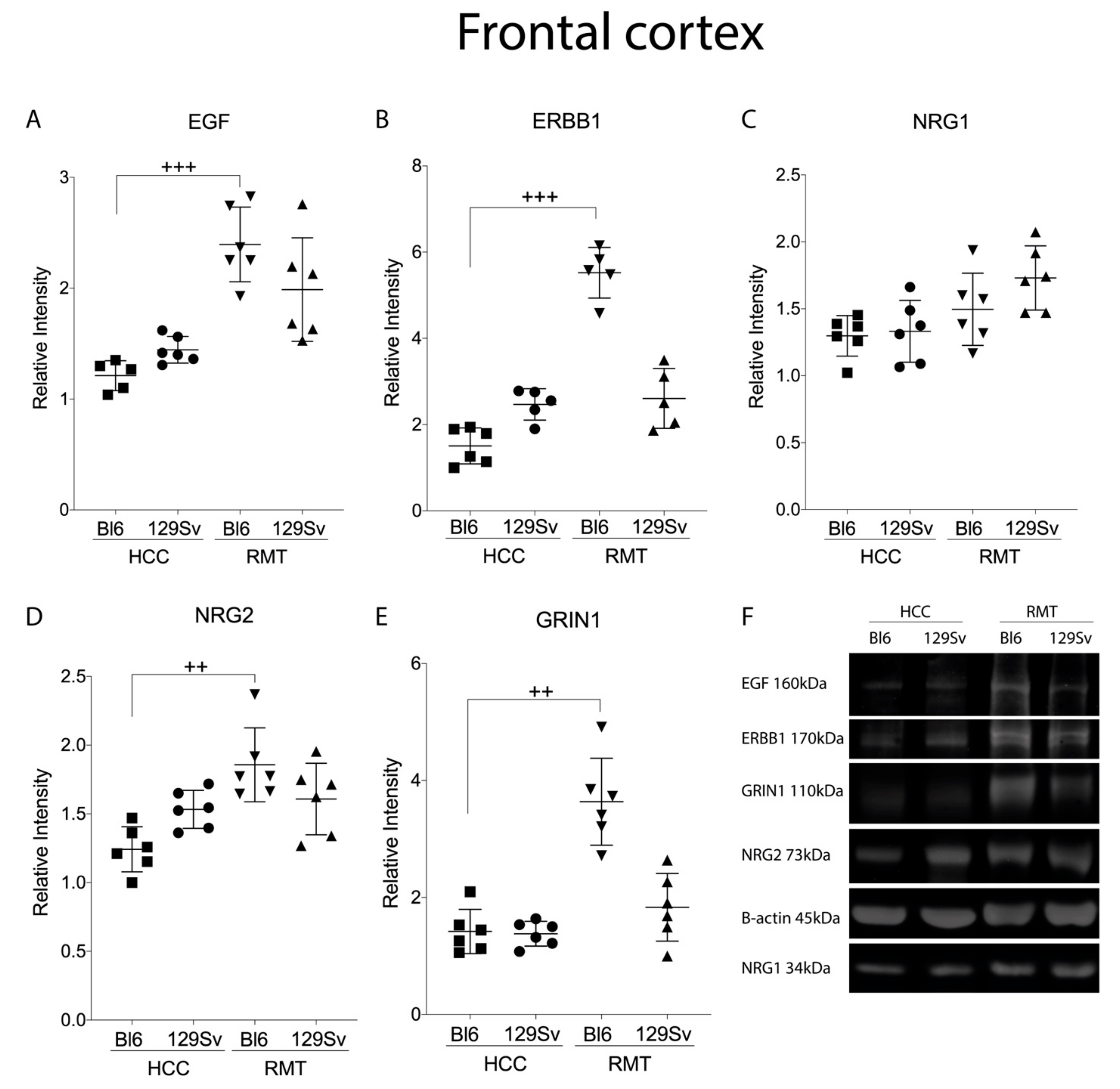 Brainsci 11 00725 g015