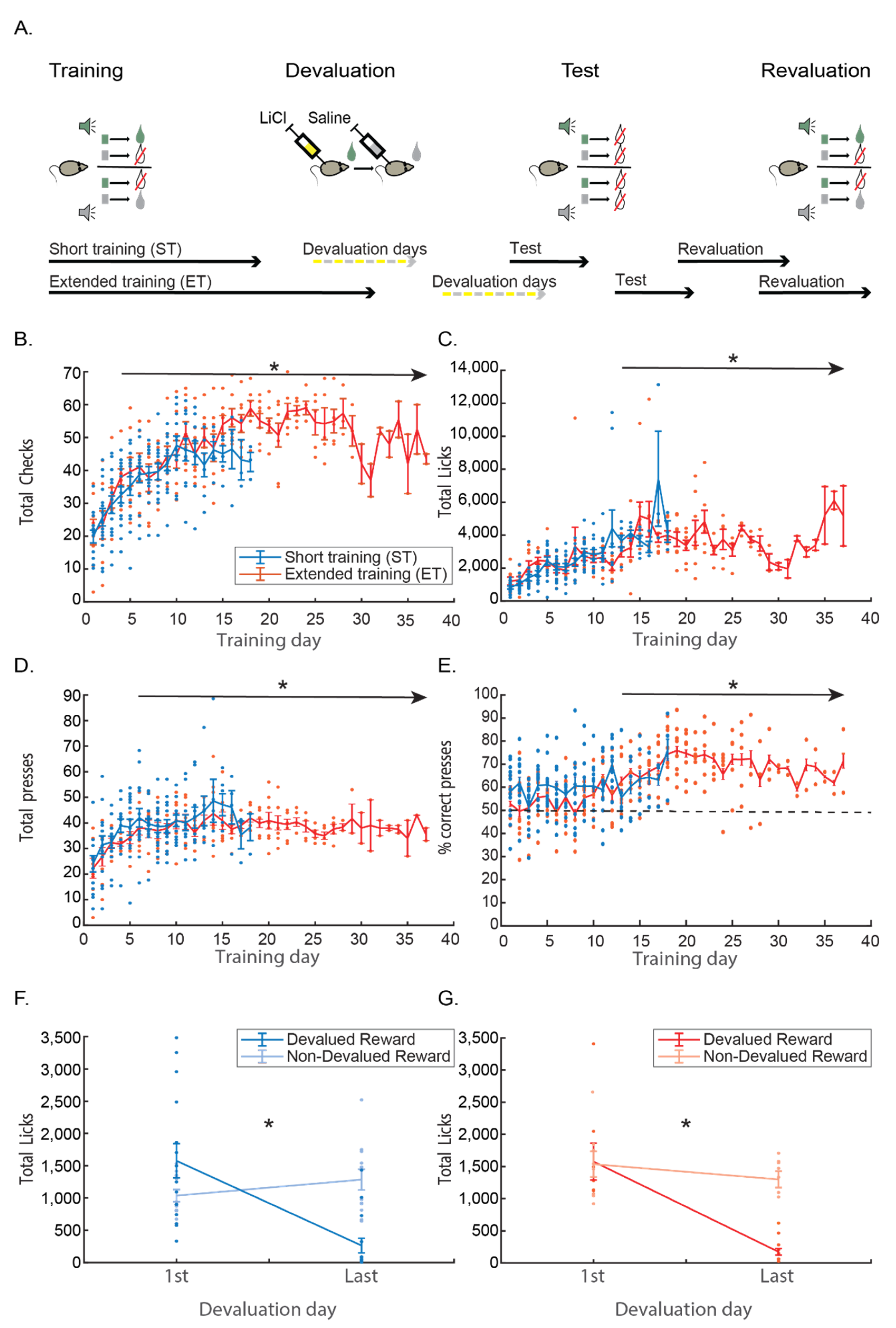 Brainsci 11 00732 g001 Brainsci 11 00732 g001