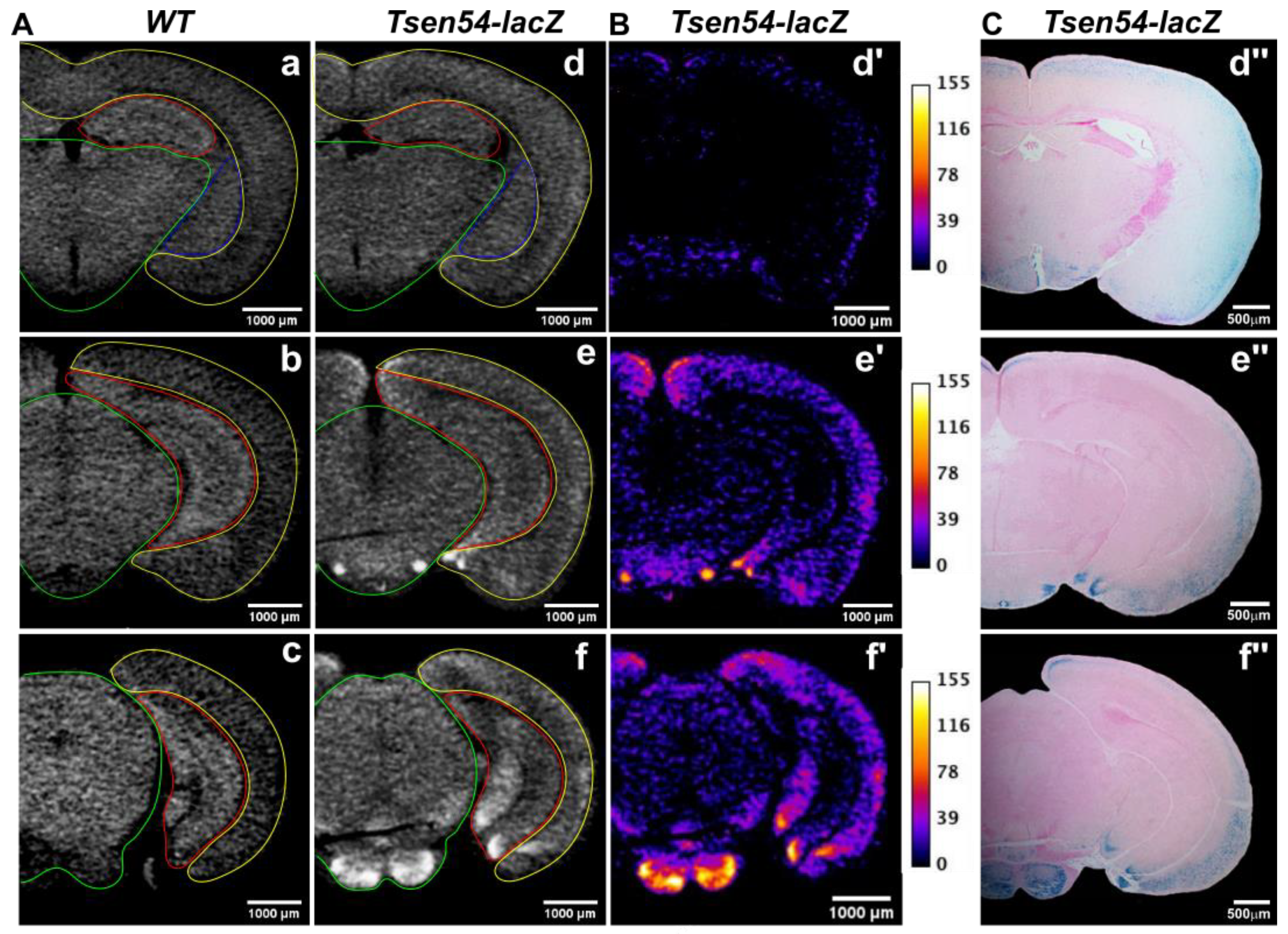 Brainsci 11 00746 g002 Brainsci 11 00746 g002