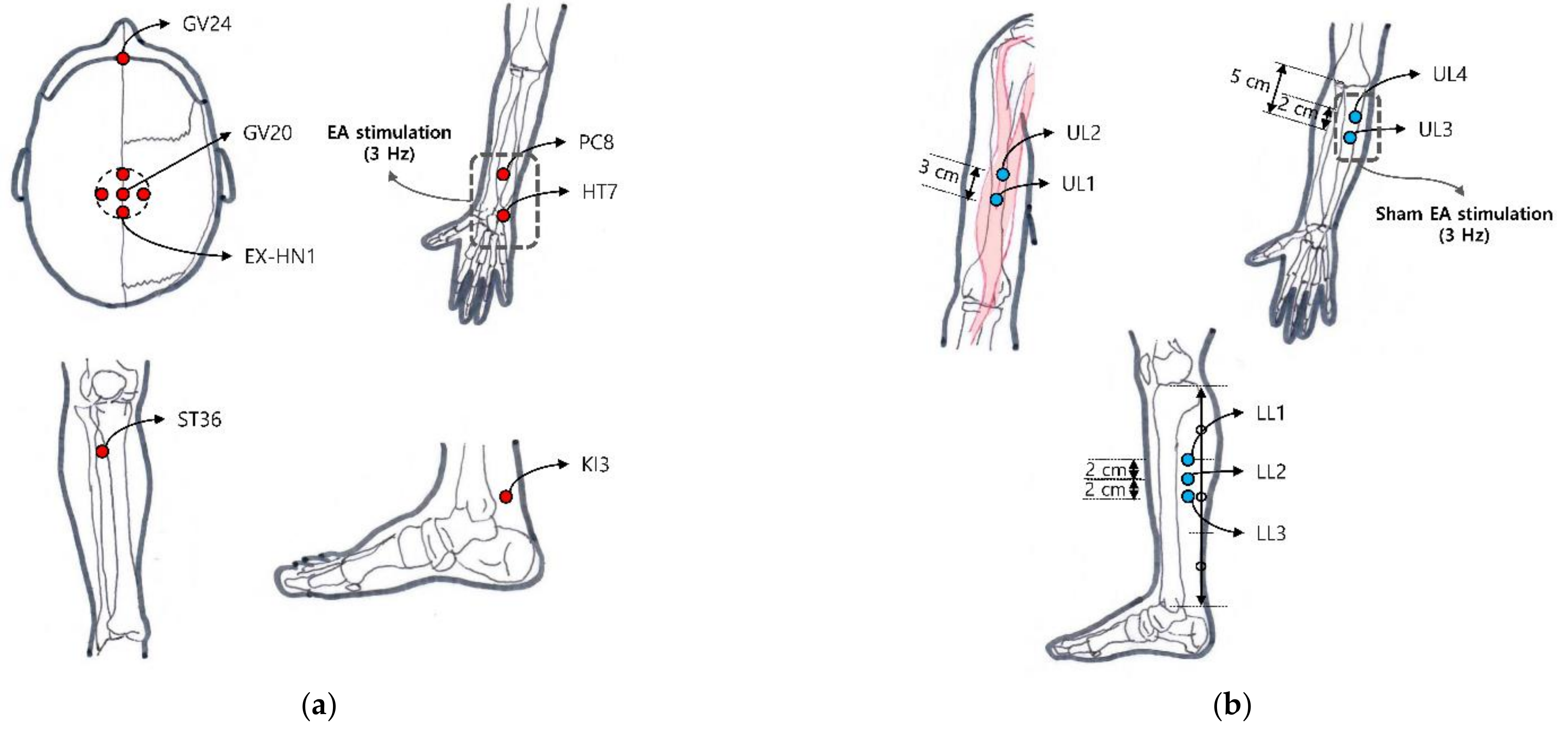 Brainsci 11 00756 g001 Brainsci 11 00756 g001