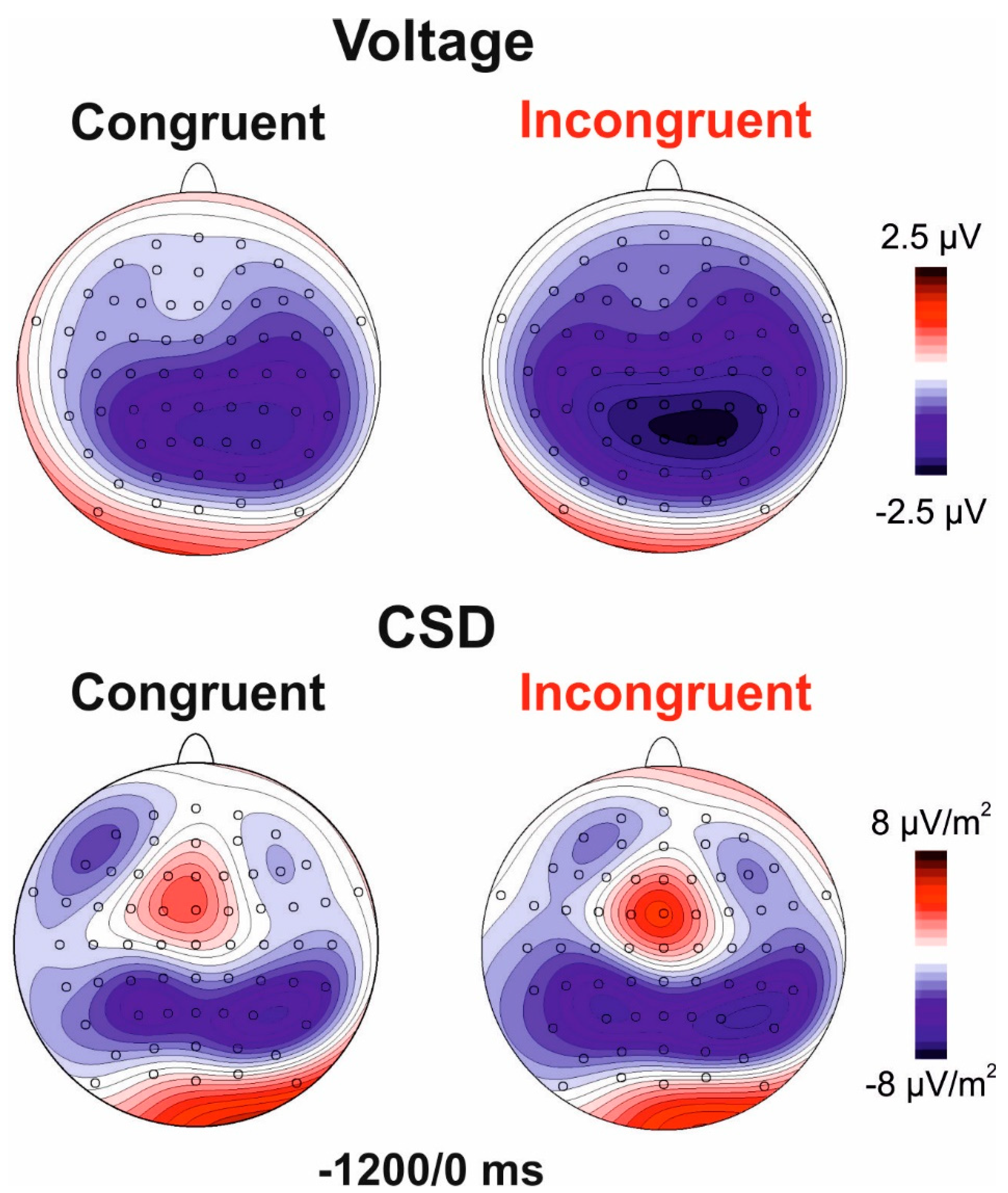 Brainsci 11 00783 g003