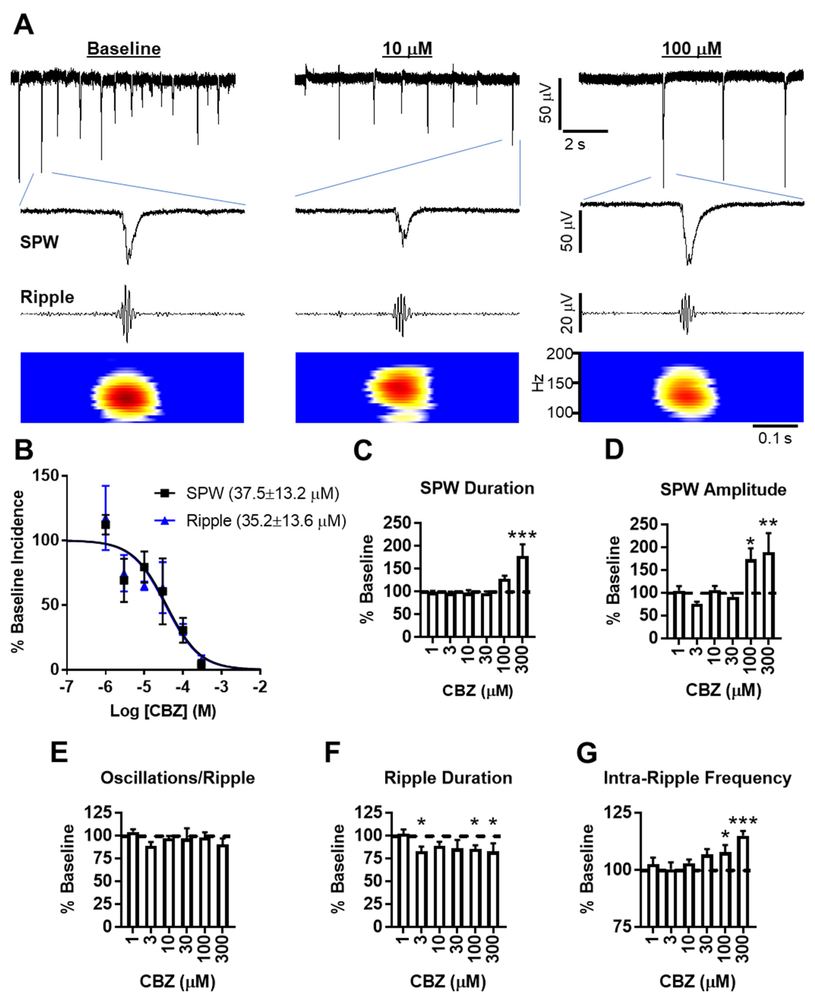 Brainsci 11 00787 g001 Brainsci 11 00787 g001