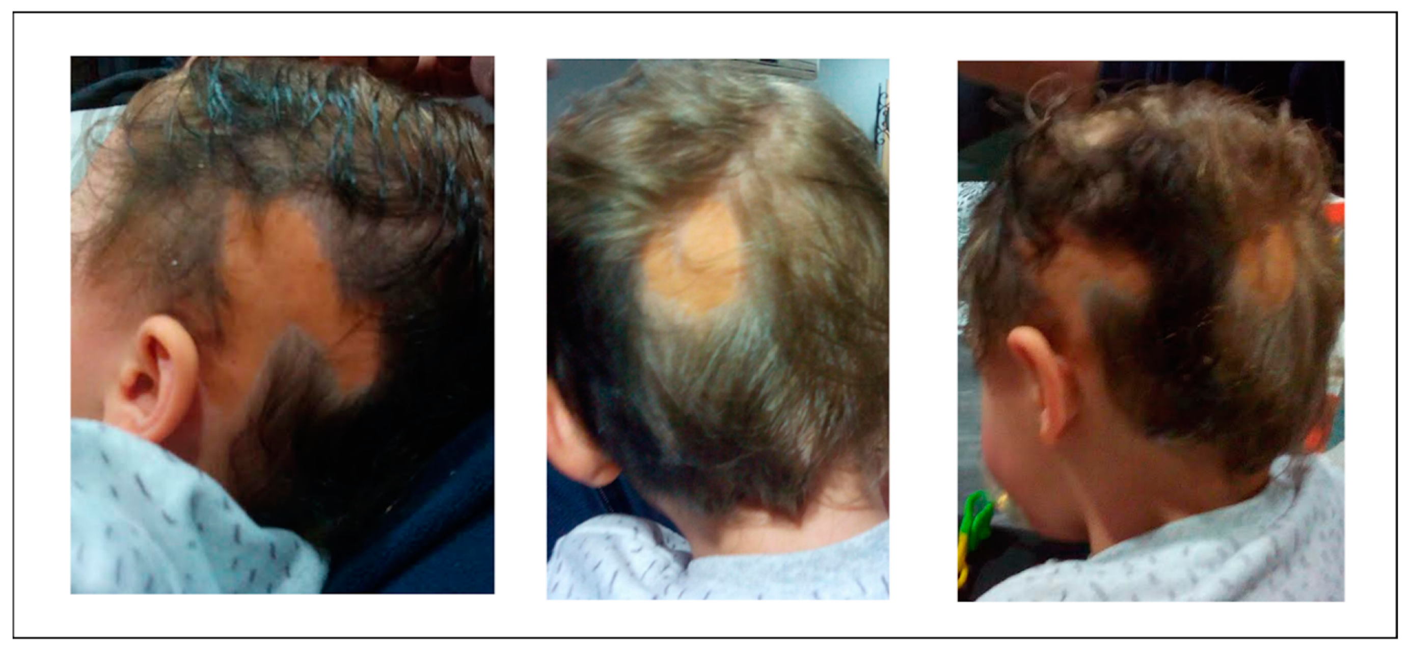 Brainsci 11 00793 g001