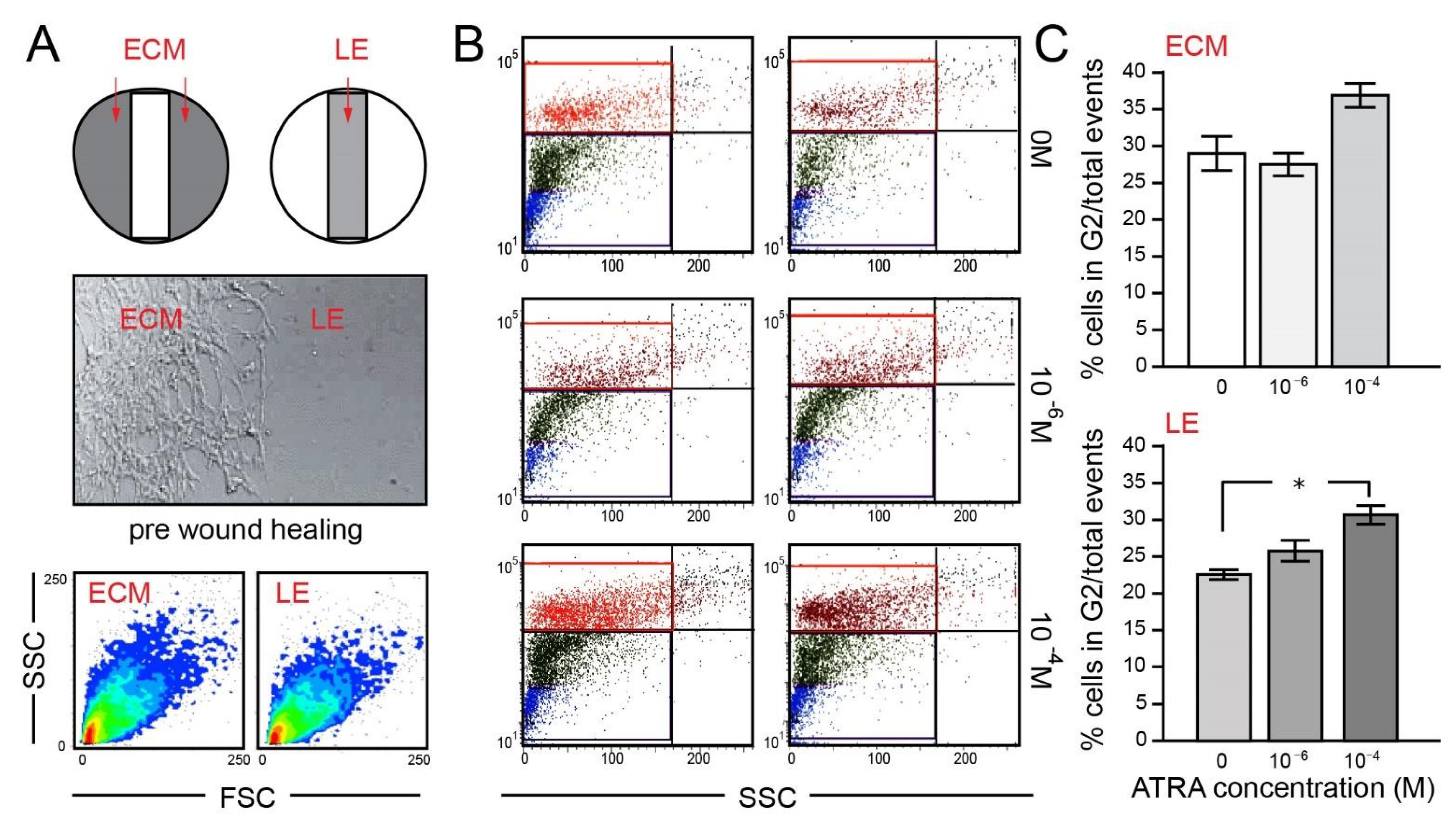 Brainsci 11 00812 g003