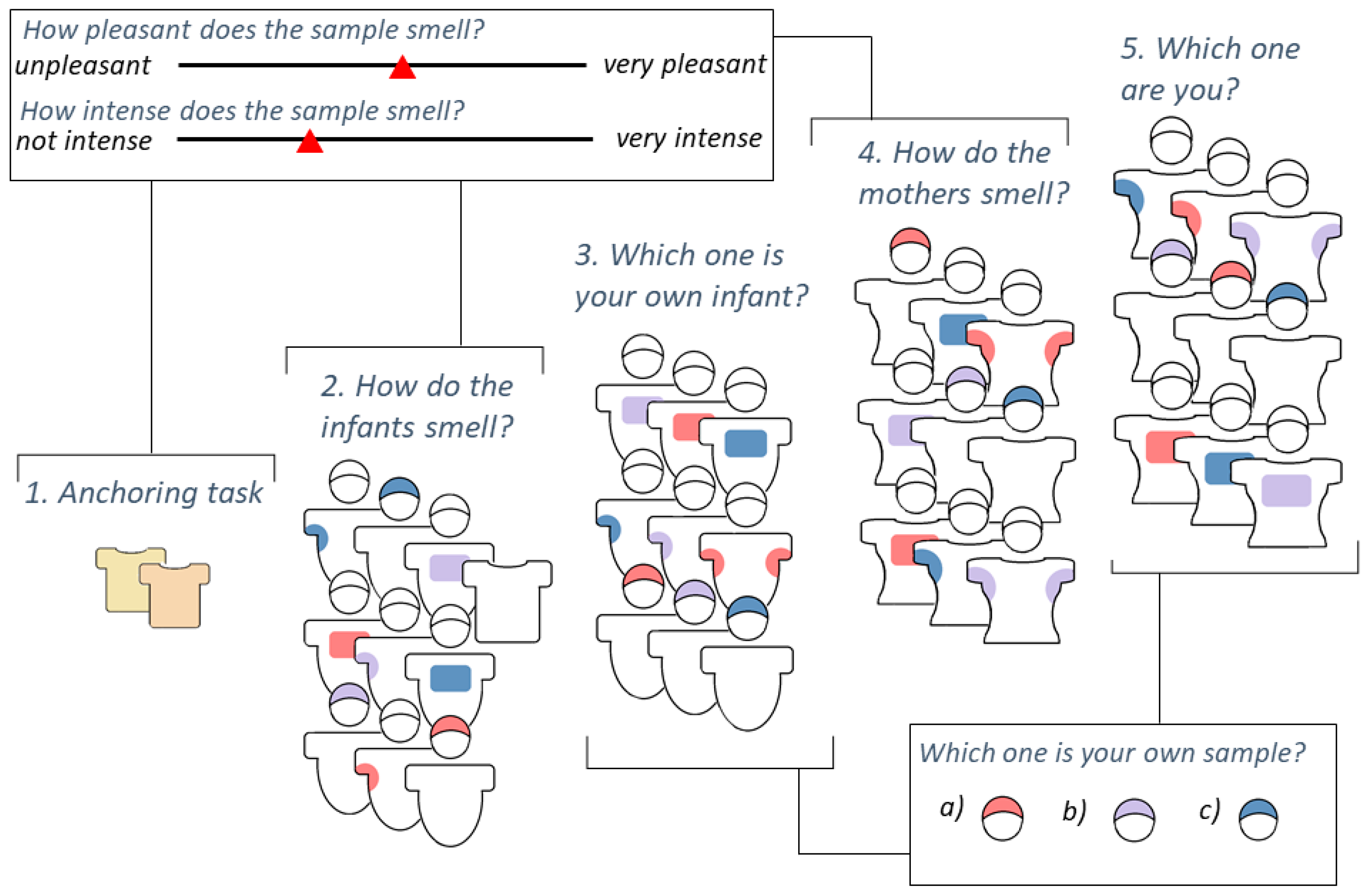 Brainsci 11 00820 g001
