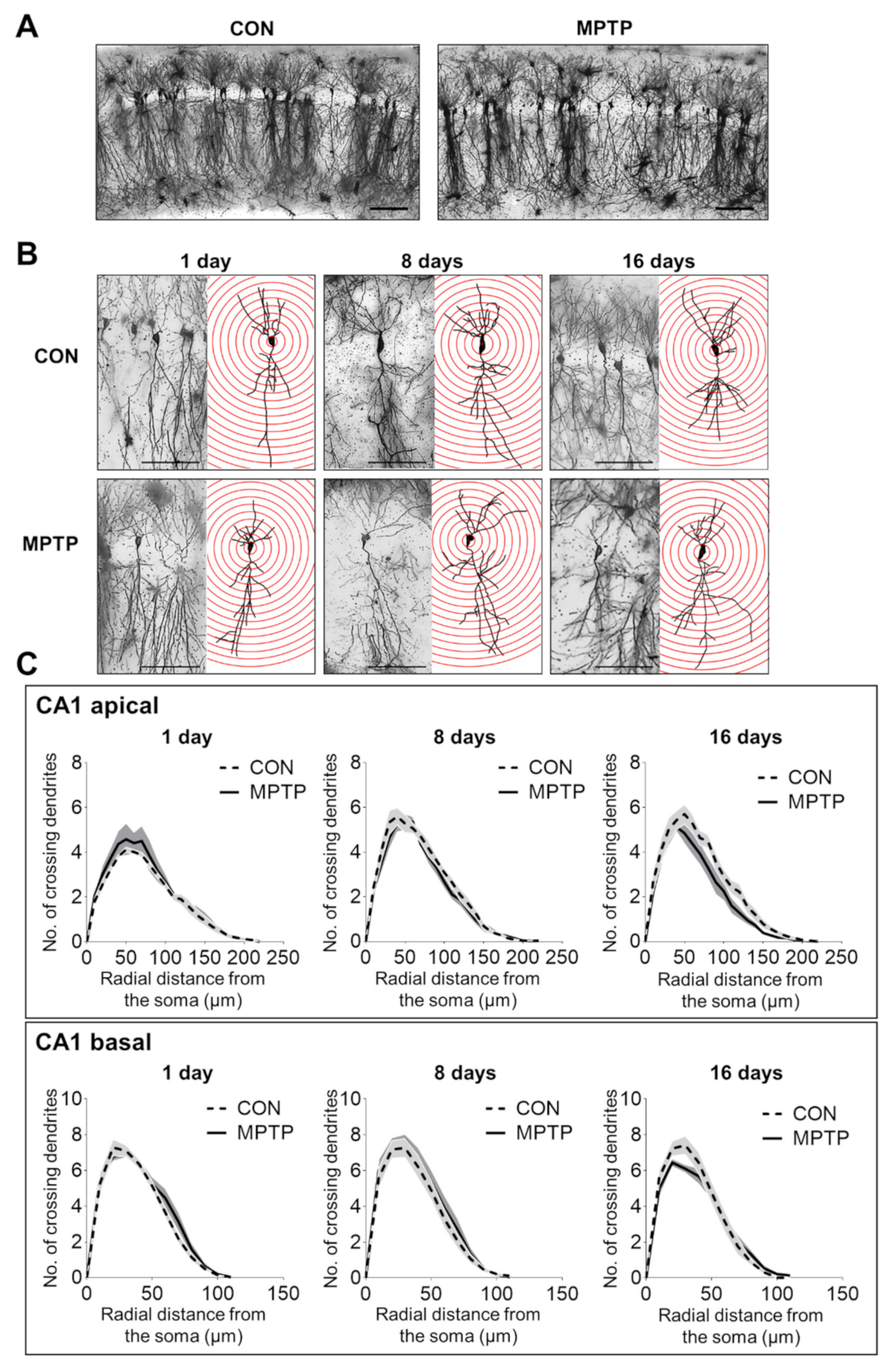 Brainsci 11 00833 g002