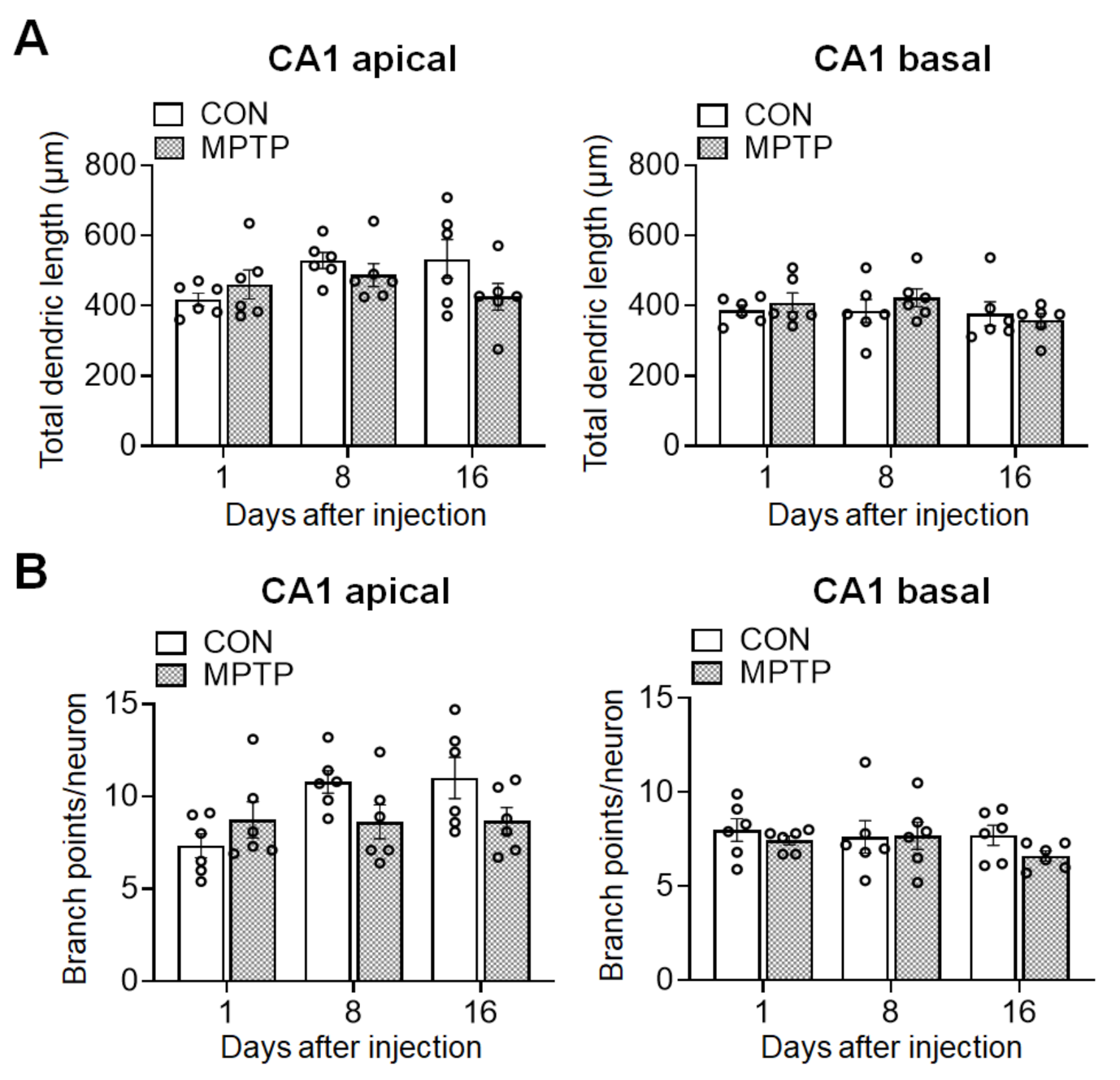 Brainsci 11 00833 g003