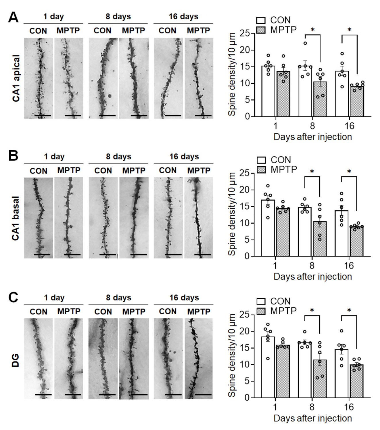 Brainsci 11 00833 g005