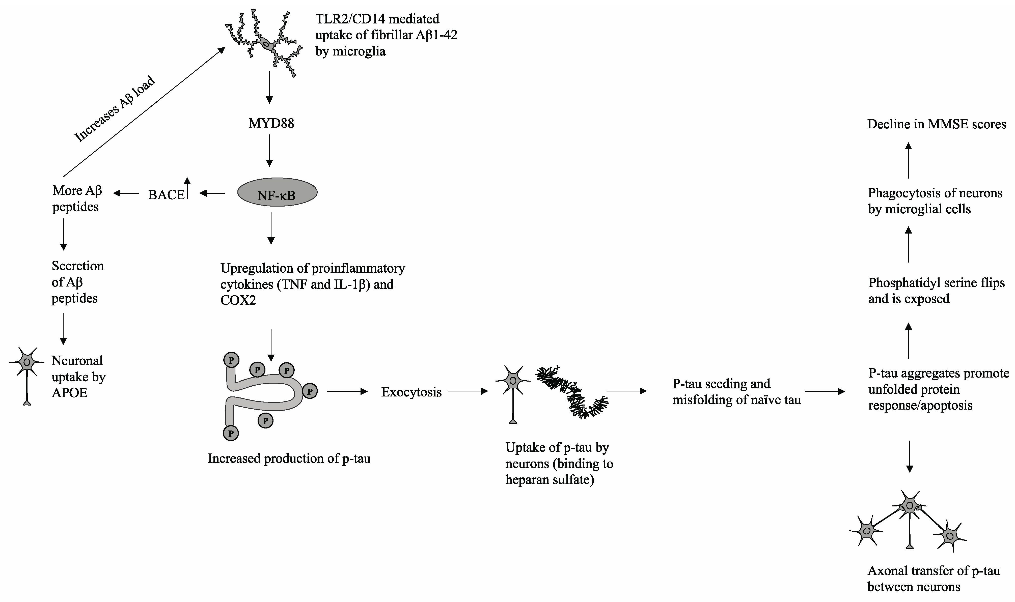 Brainsci 11 00861 g003