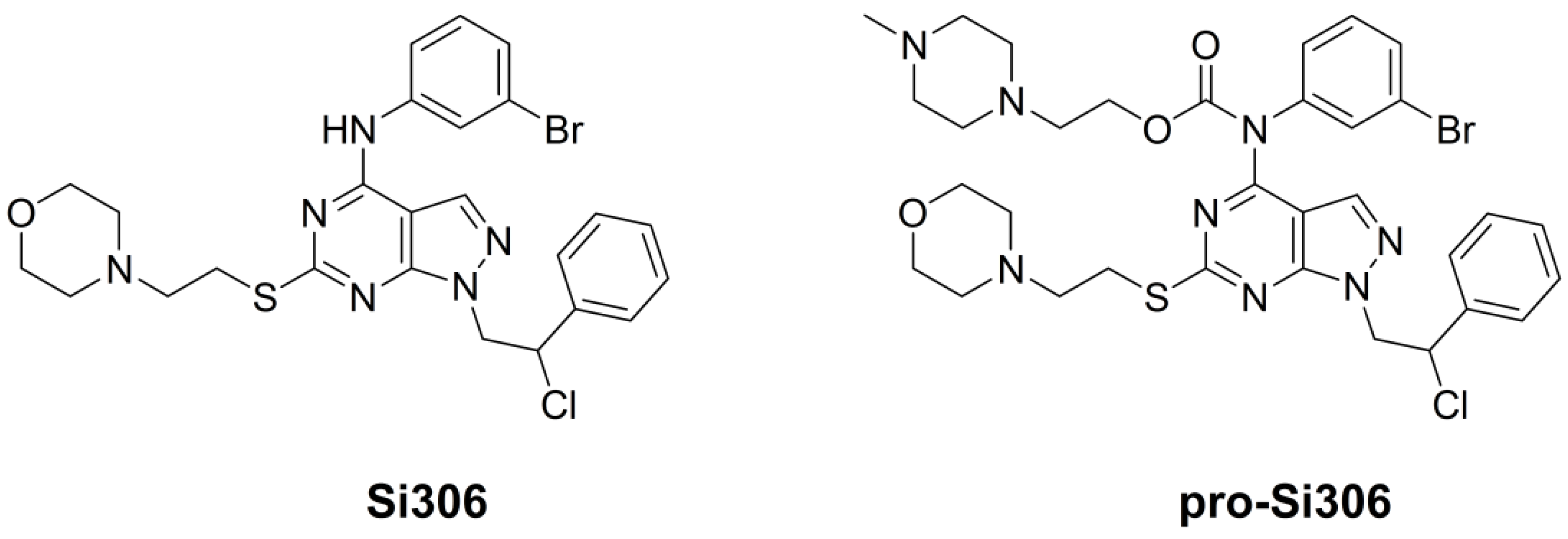 Brainsci 11 00884 g001