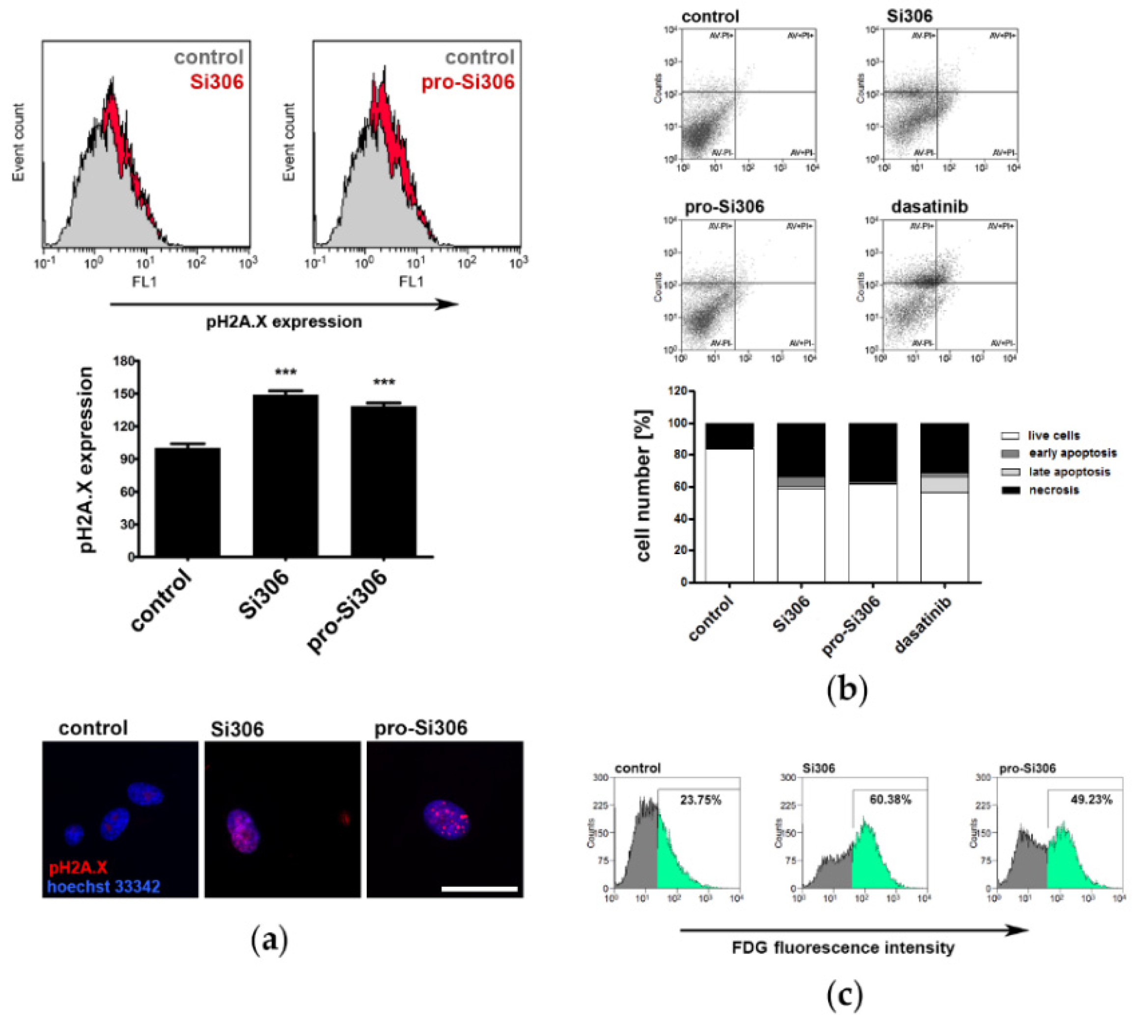 Brainsci 11 00884 g005