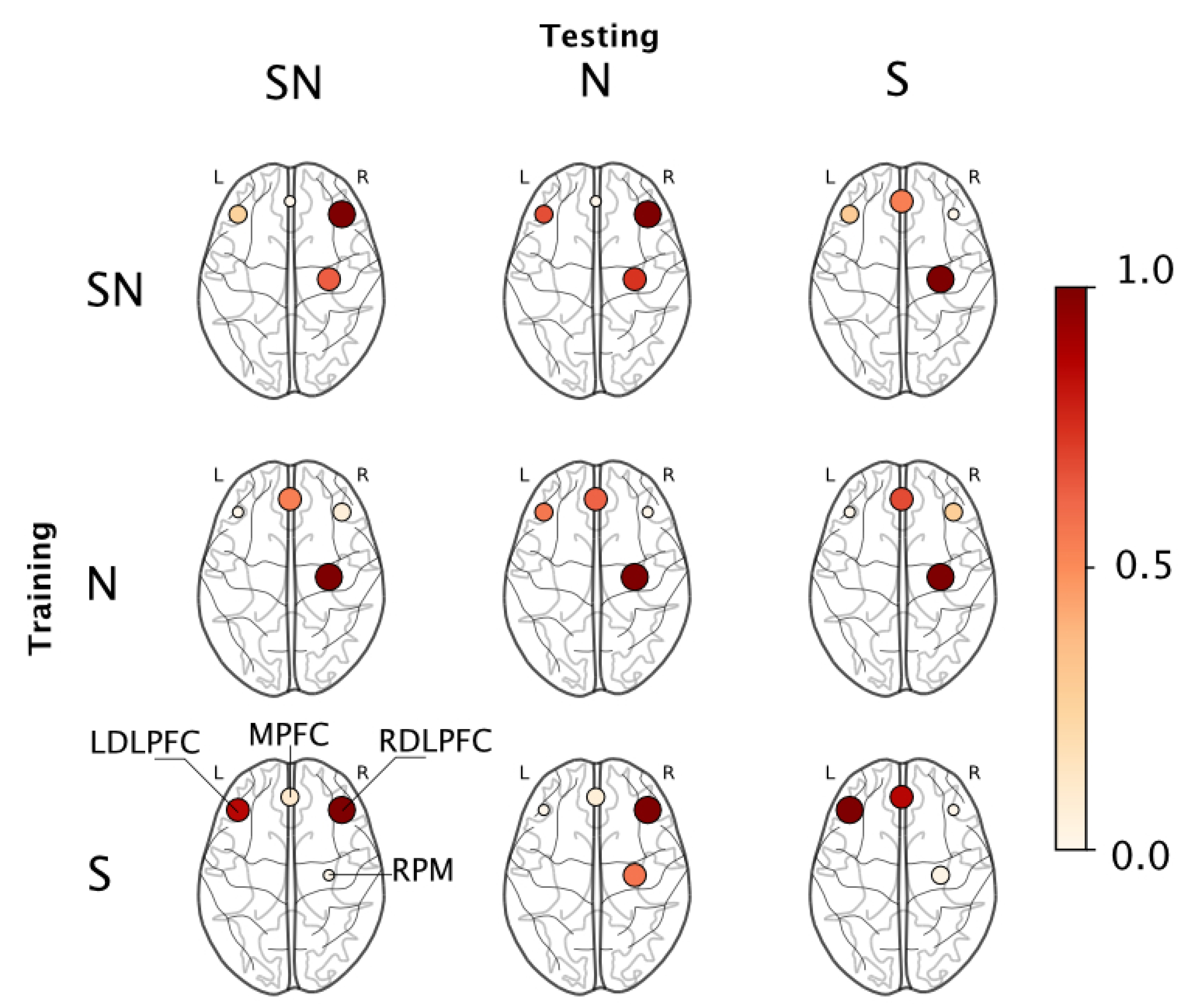 Brainsci 11 00885 g006