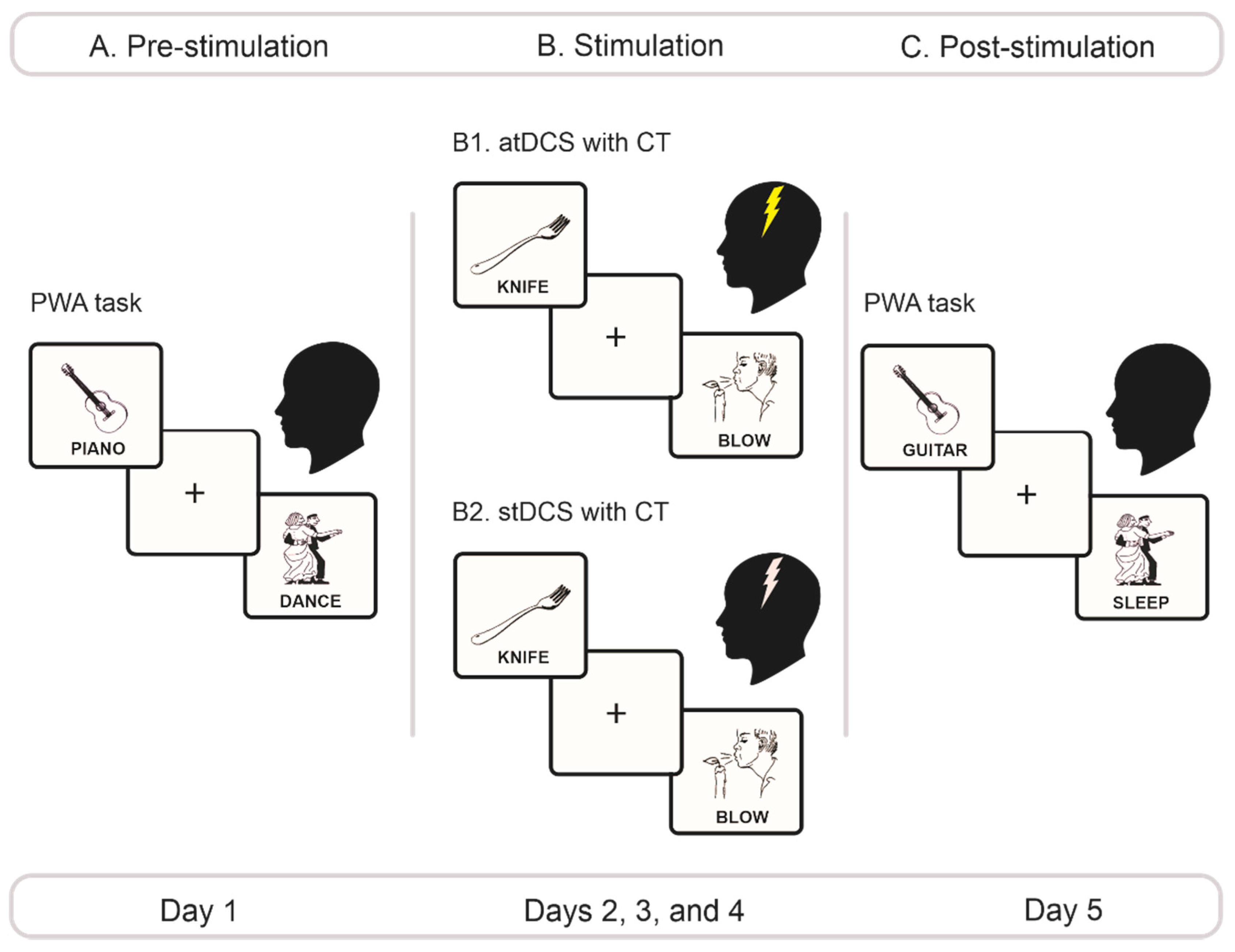 Brainsci 11 00887 g001