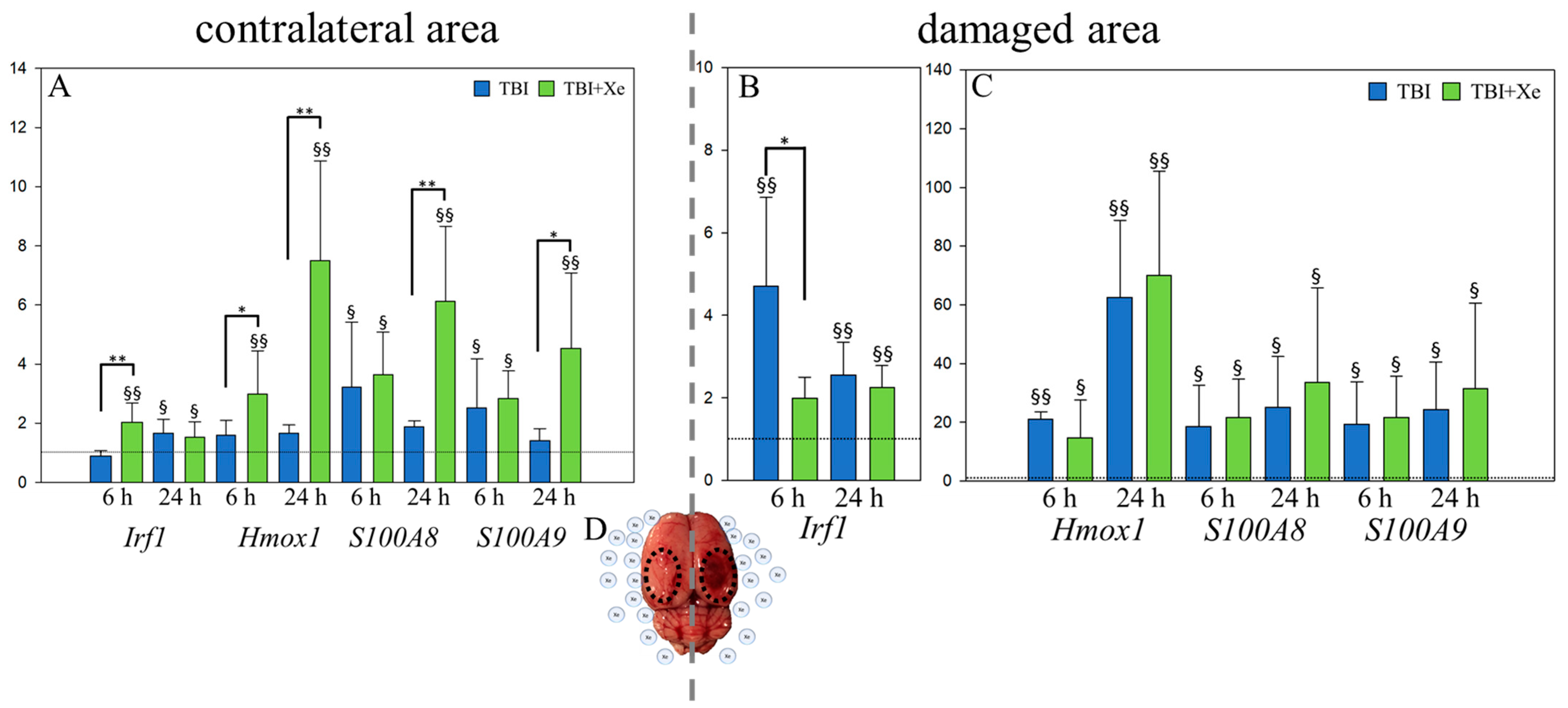Brainsci 11 00889 g002