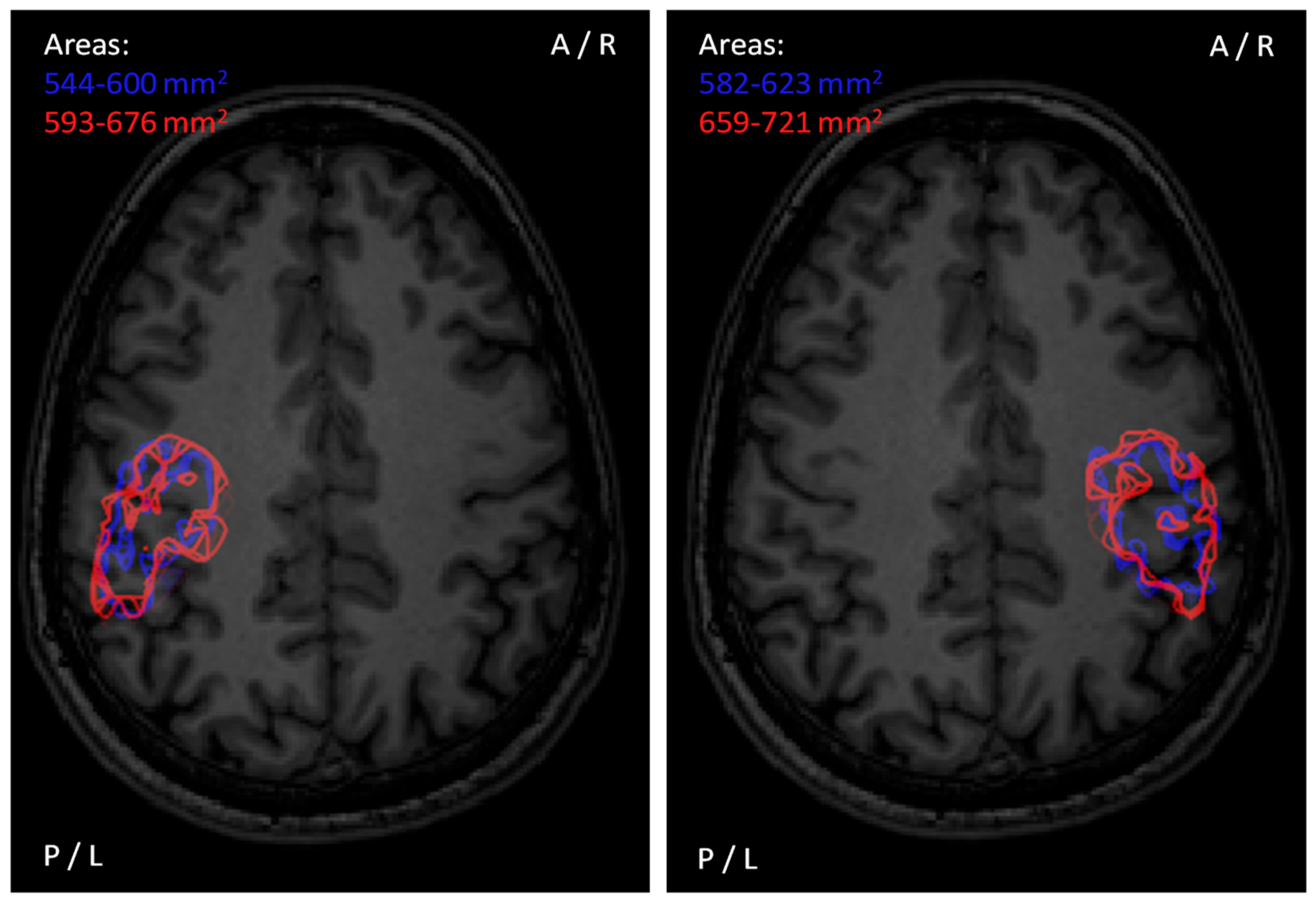 Brainsci 11 00897 g012 Brainsci 11 00897 g012