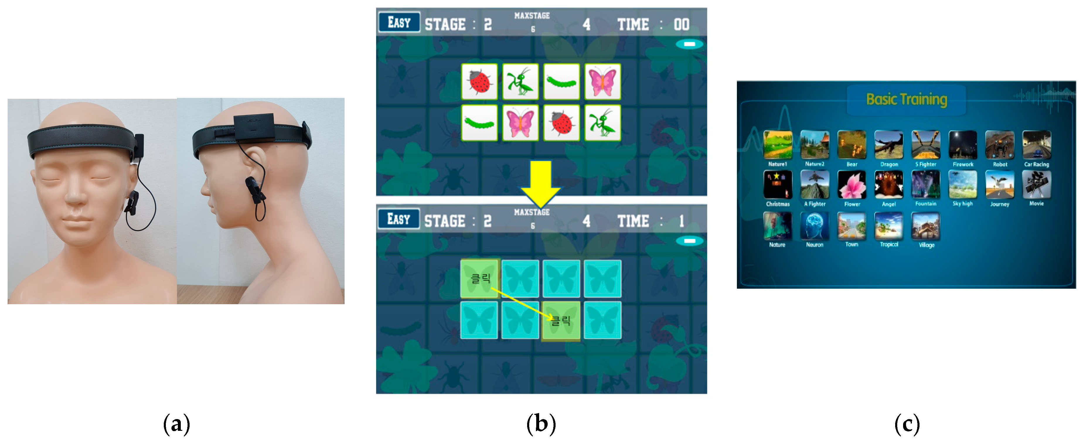 Brainsci 11 00899 g003