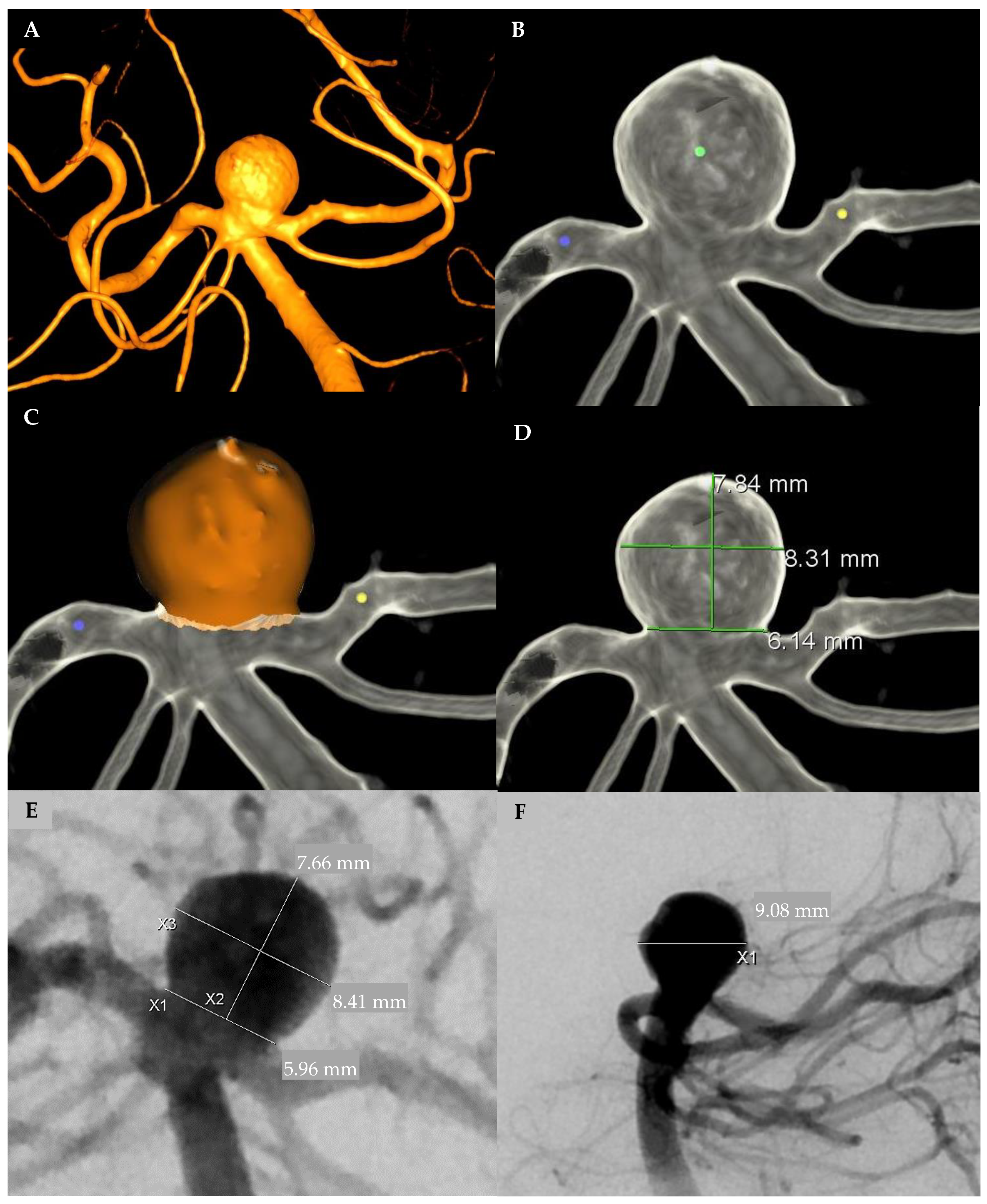 Brainsci 11 00901 g001 Brainsci 11 00901 g001