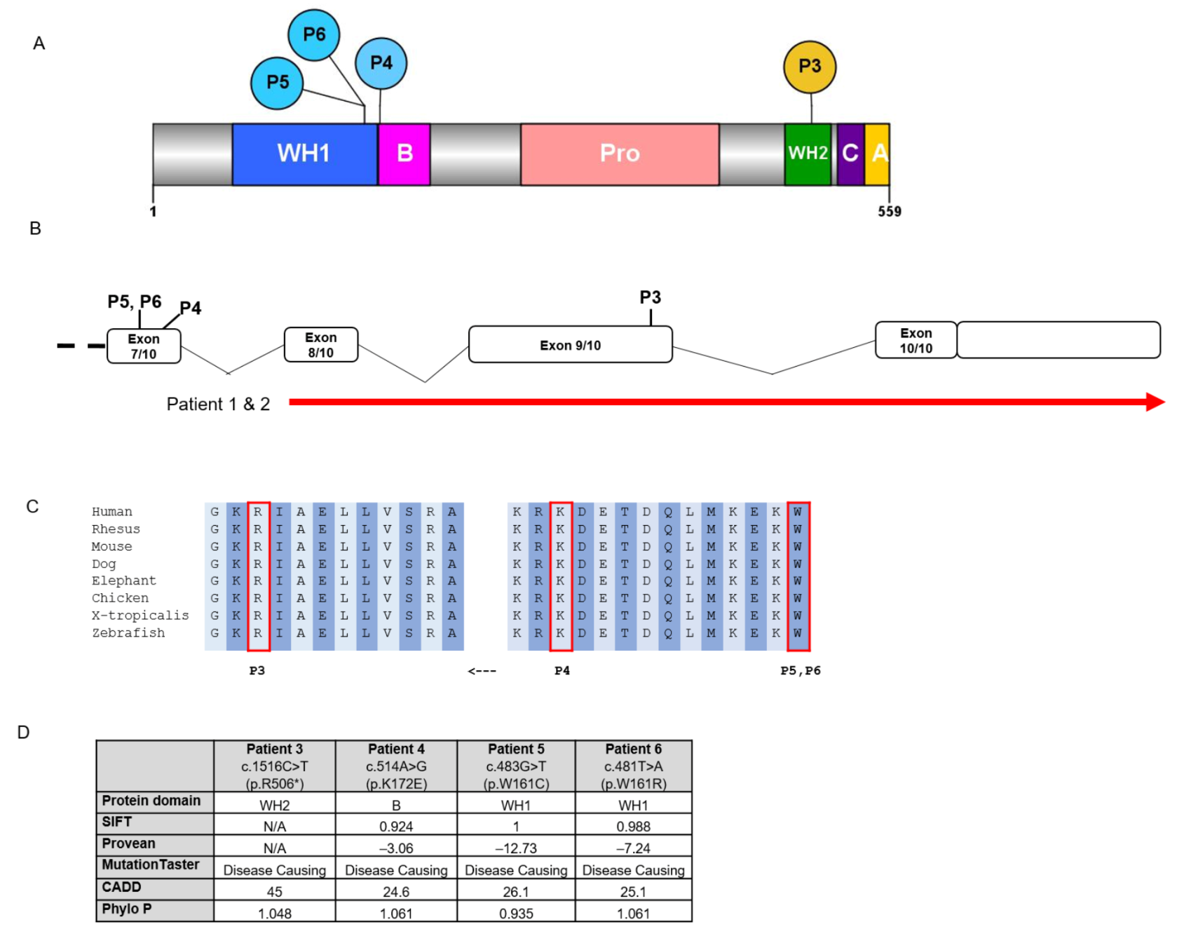 Brainsci 11 00931 g001