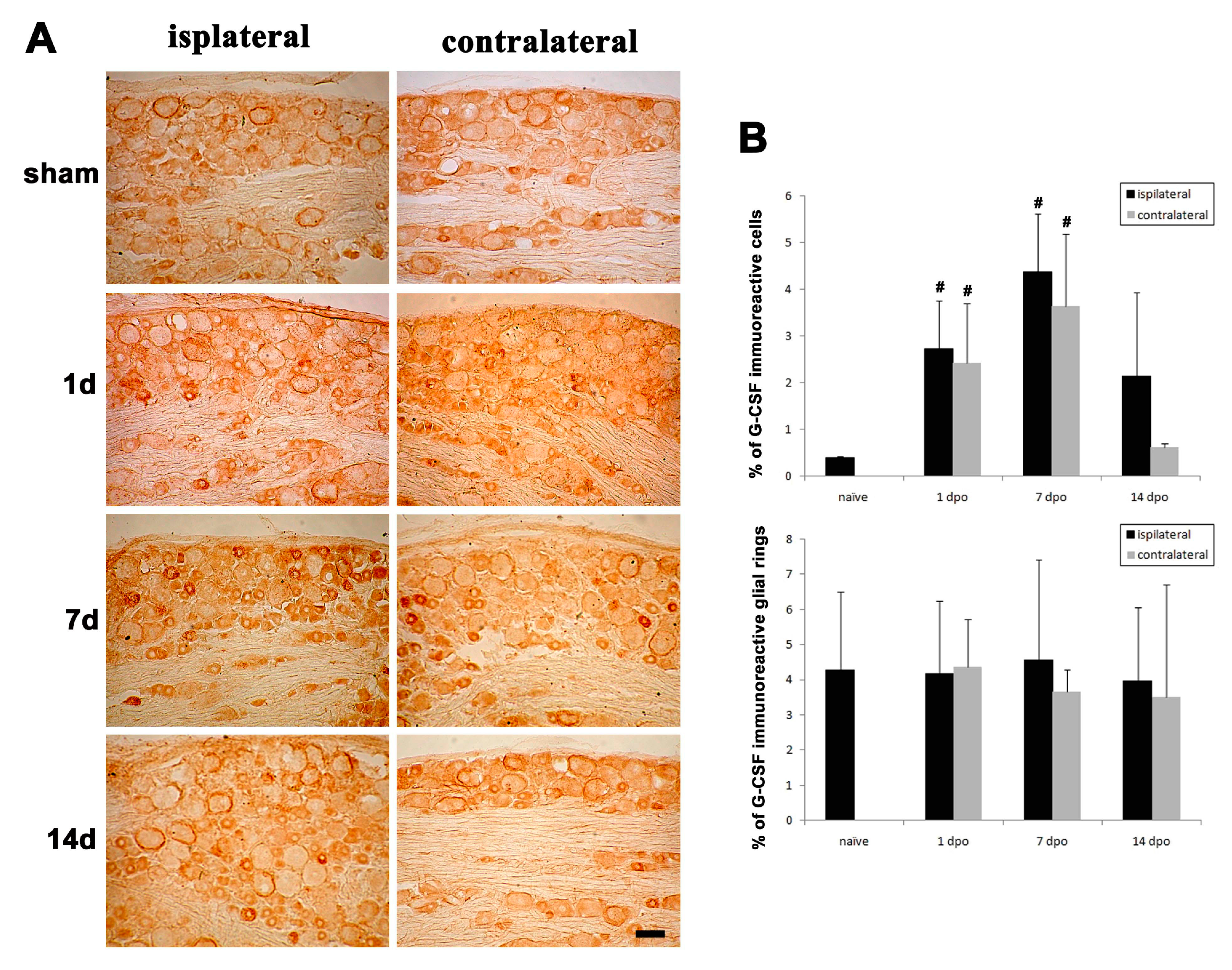 Brainsci 11 00956 g003