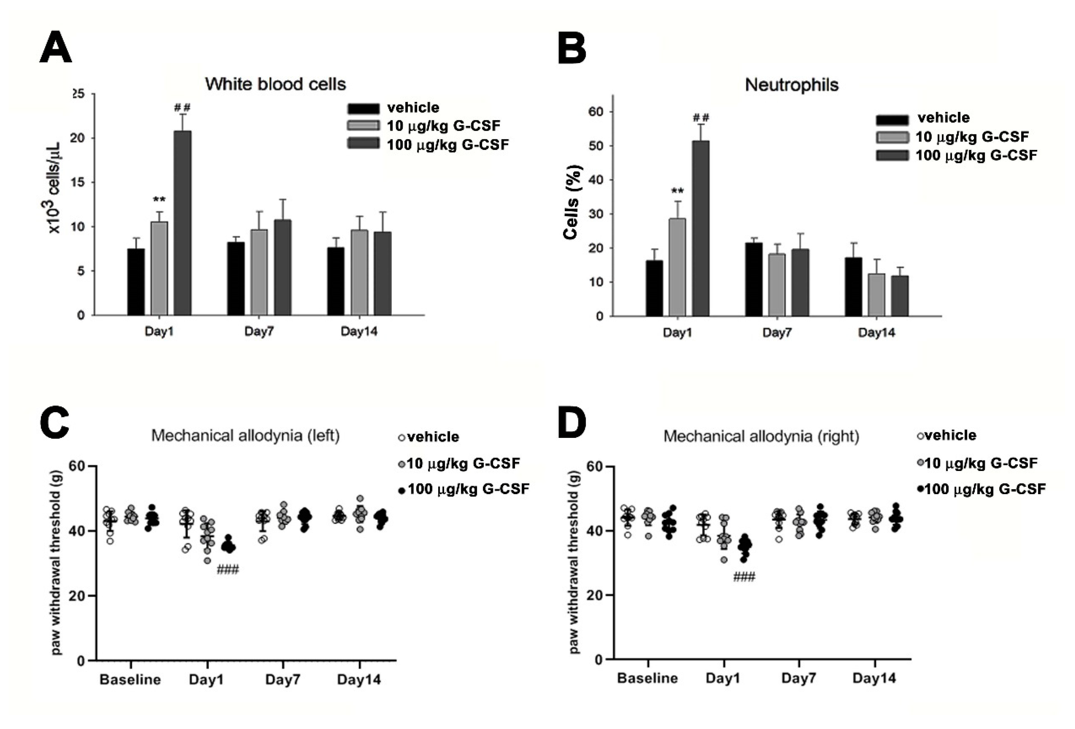 Brainsci 11 00956 g004