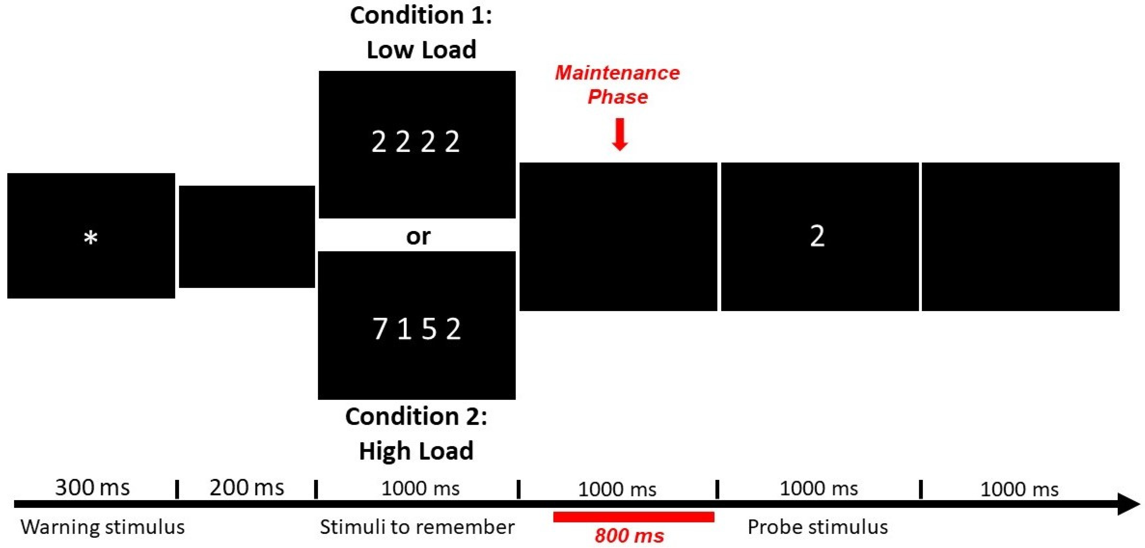 Brainsci 11 00957 g001