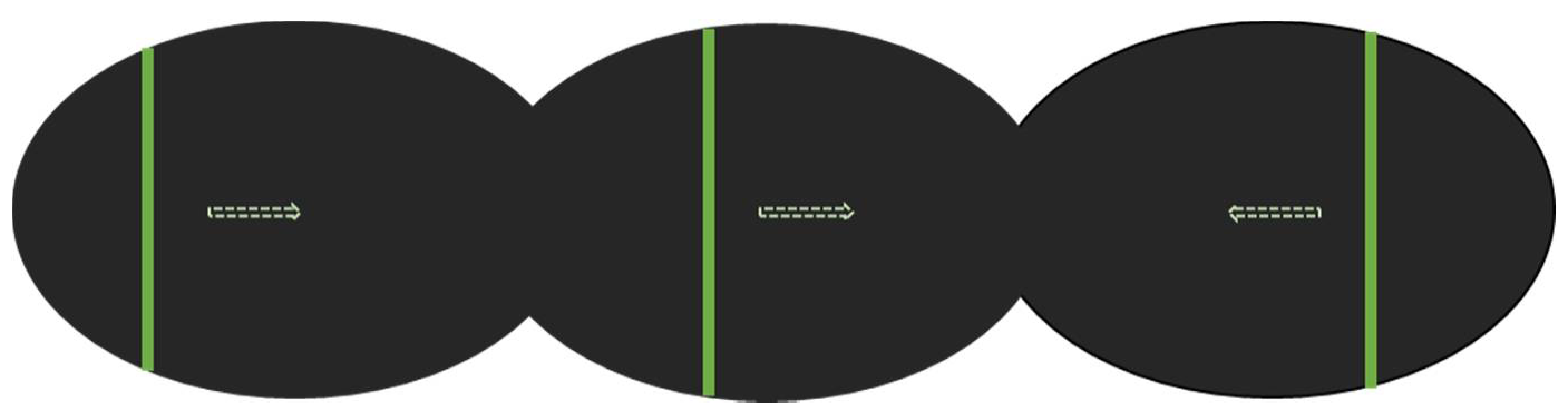 Brainsci 11 00963 g001