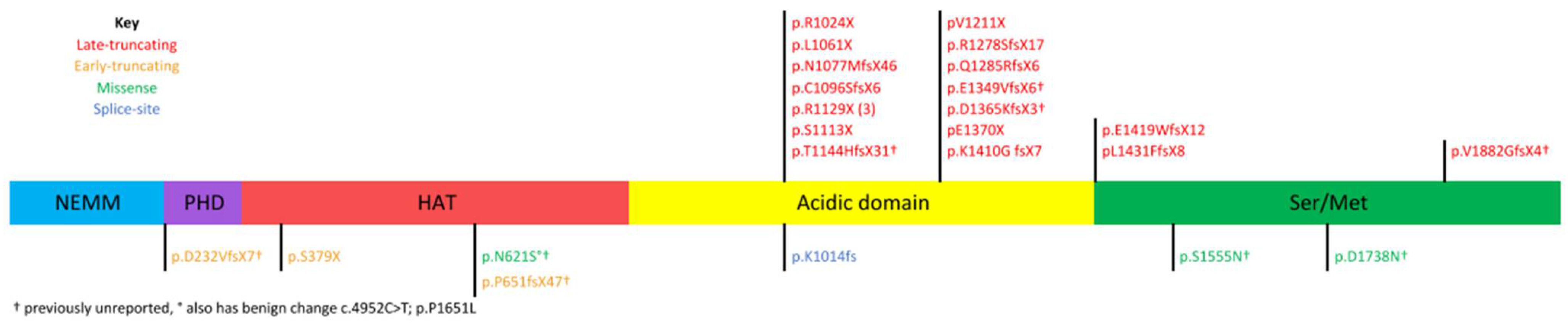 Brainsci 11 00966 g001