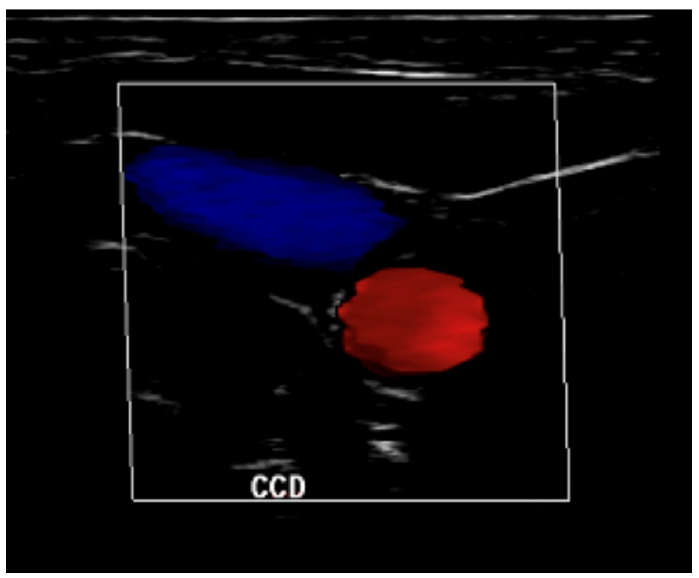 Brainsci 11 00971 g002