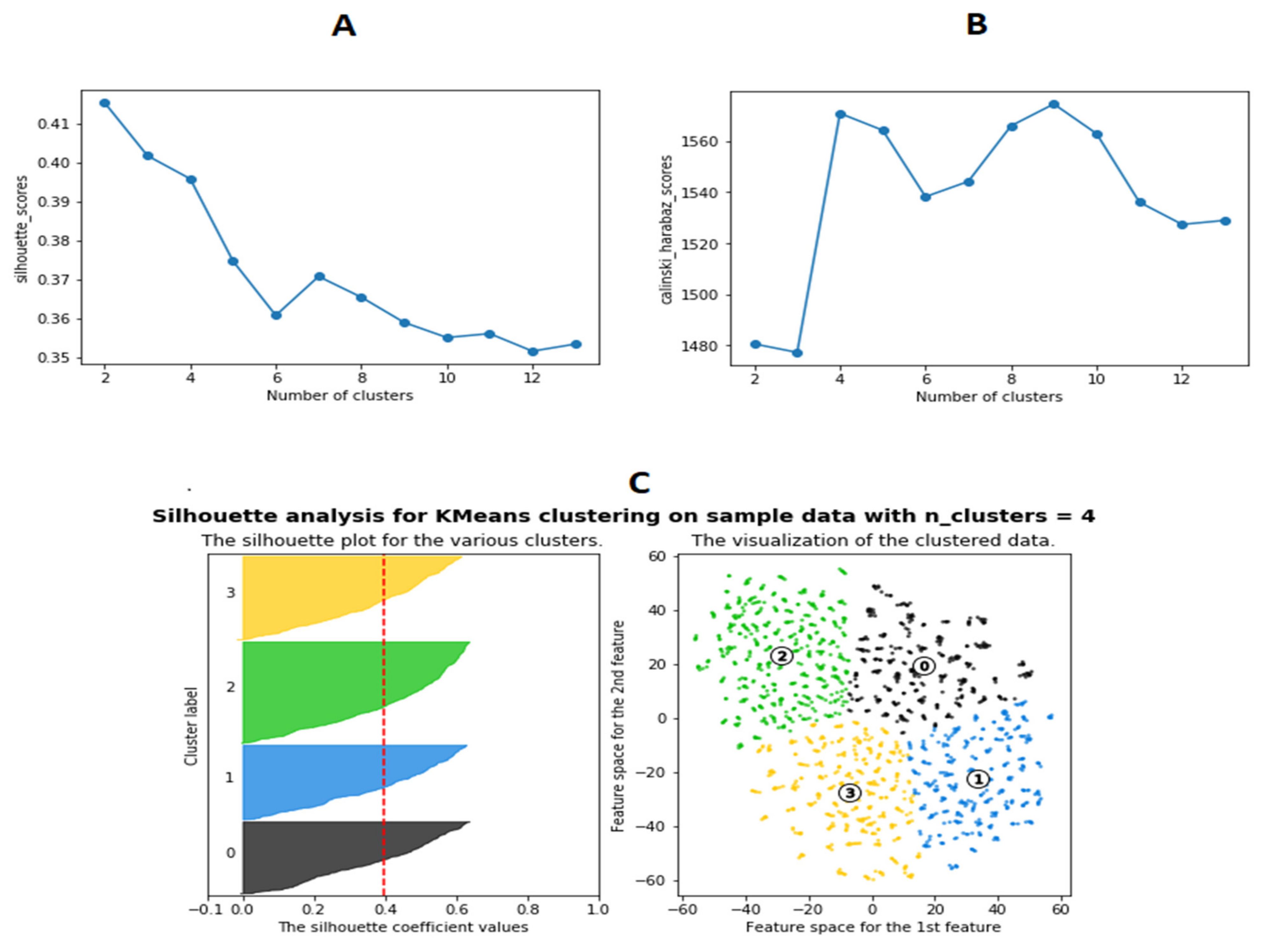 Brainsci 11 00977 g001