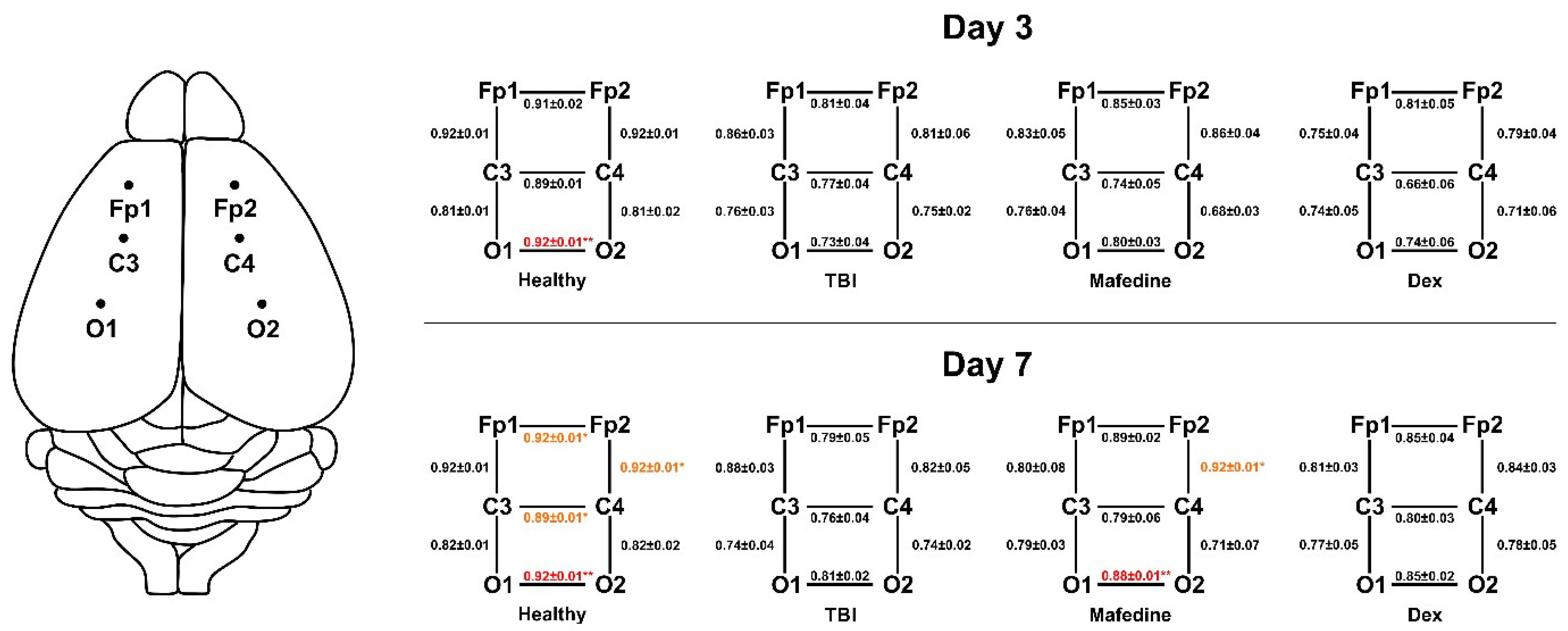 Brainsci 11 00981 g004