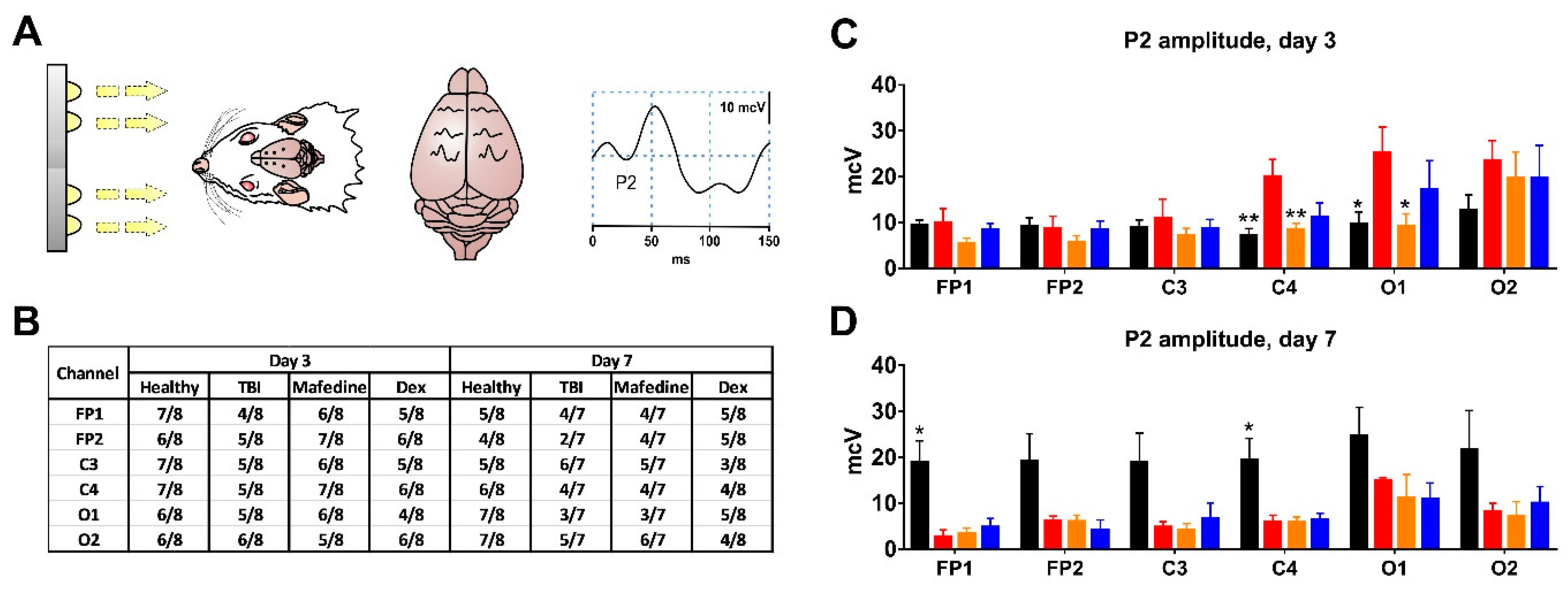 Brainsci 11 00981 g005