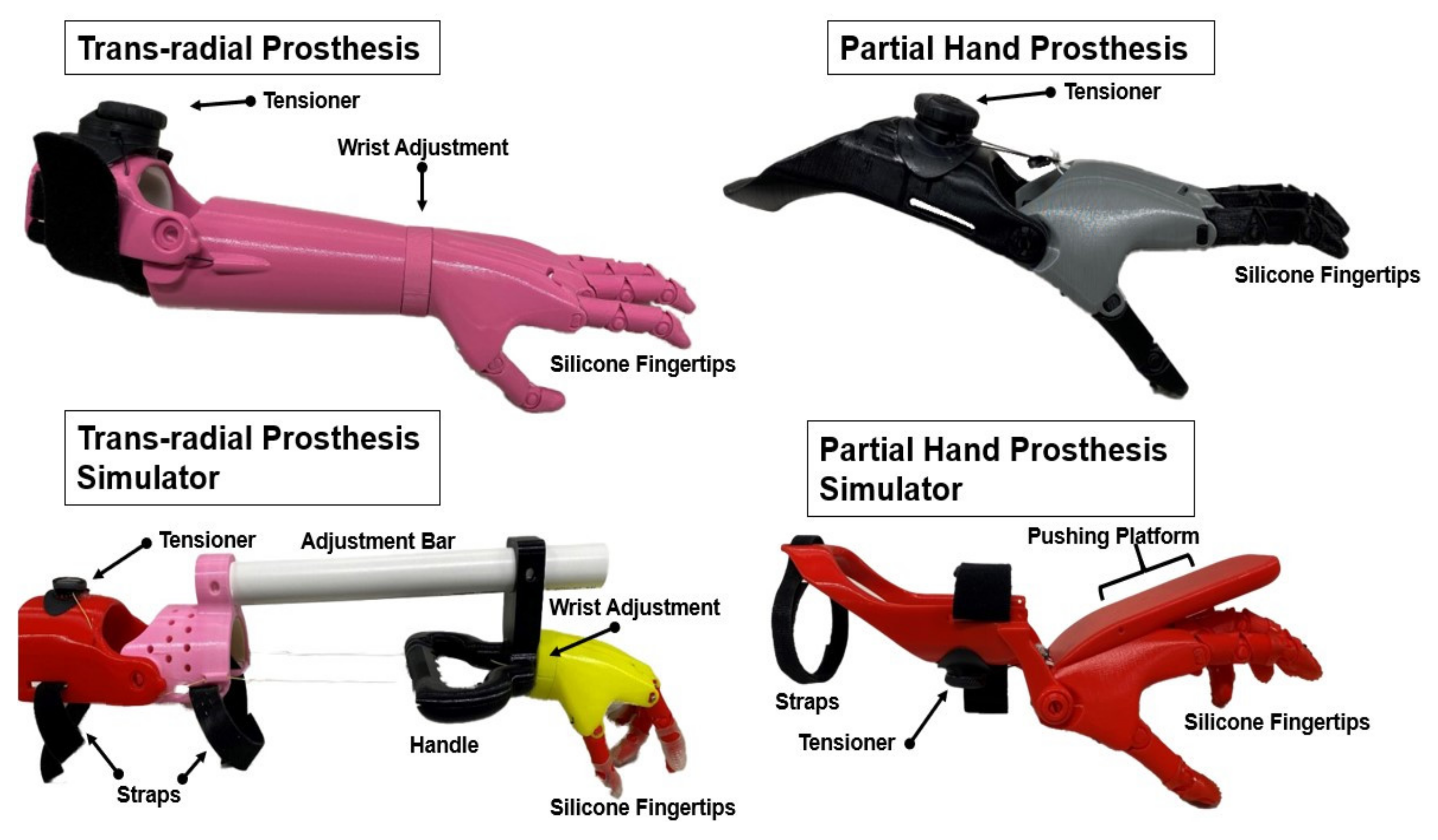 Brainsci 11 00991 g001